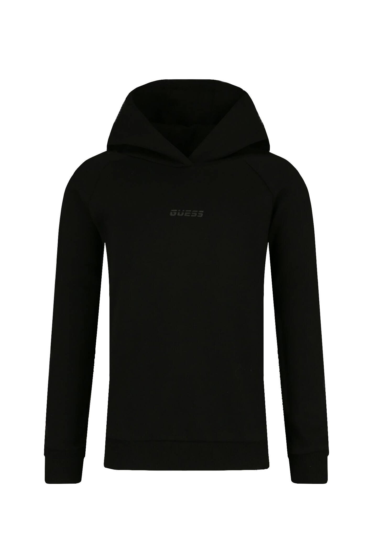 GUESS ACTIVE Hanorac | Regular Fit