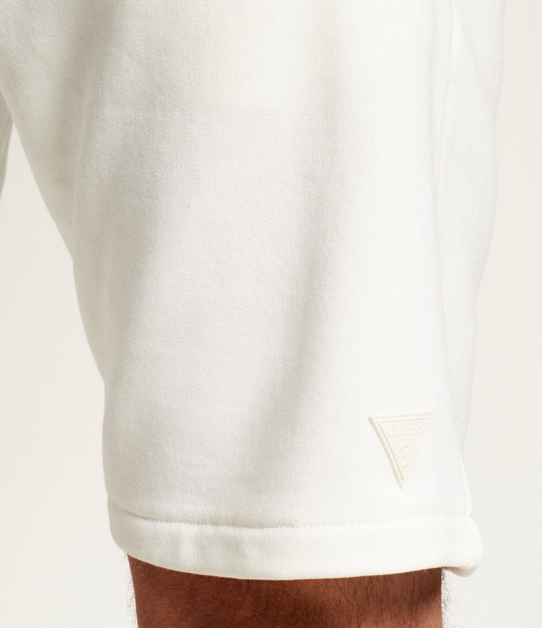 GUESS ACTIVE Pantaloni scurți Aldwin | regular fit
