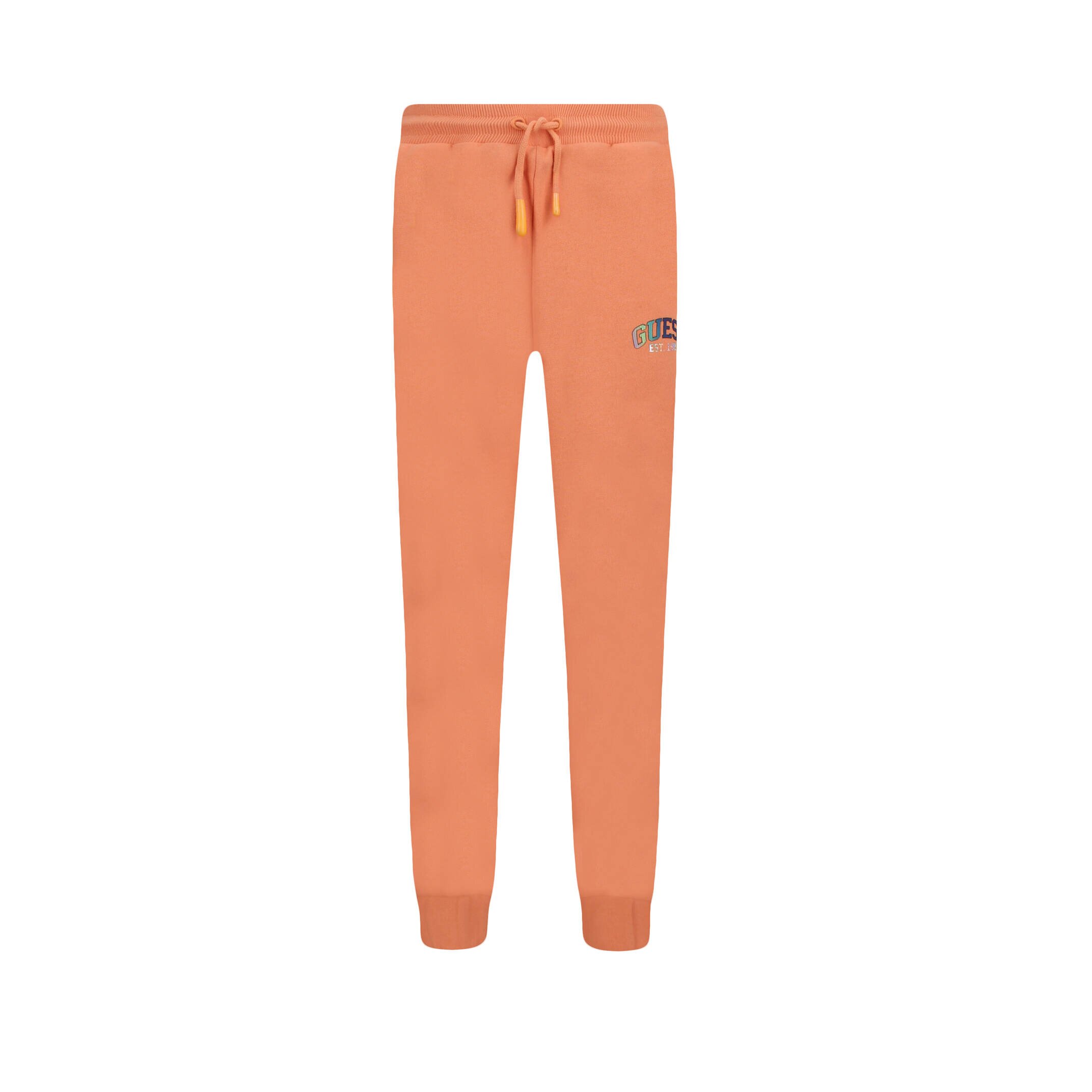 Guess Pantaloni de trening | Regular Fit