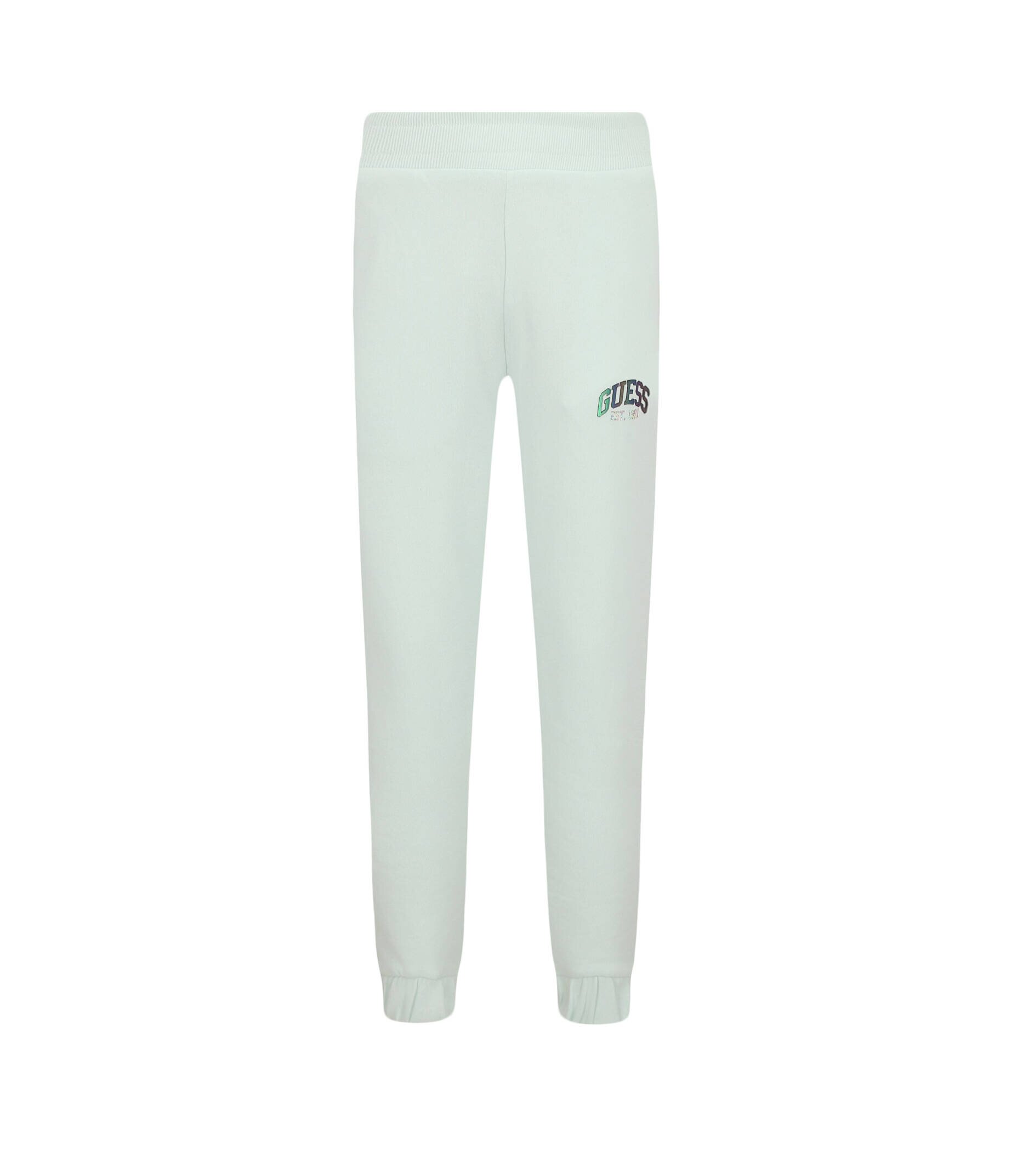 Guess Pantaloni de trening | Regular Fit