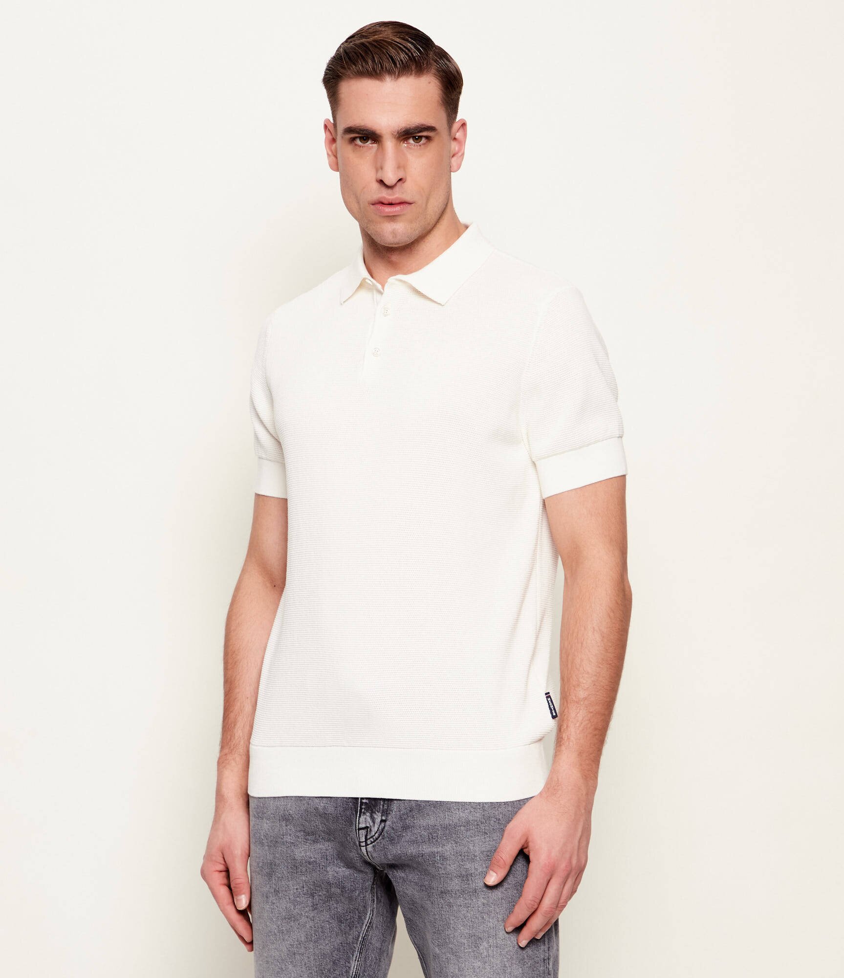 Hechter Paris Polo | regular fit