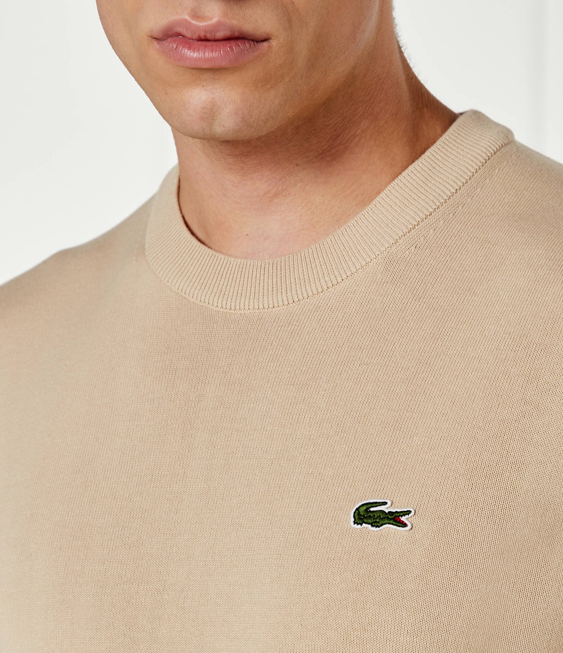 Lacoste Pulover | Regular Fit