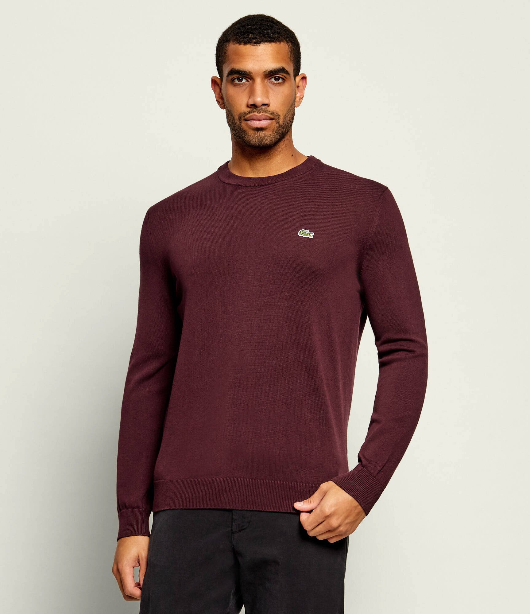 Lacoste Pulover | regular fit