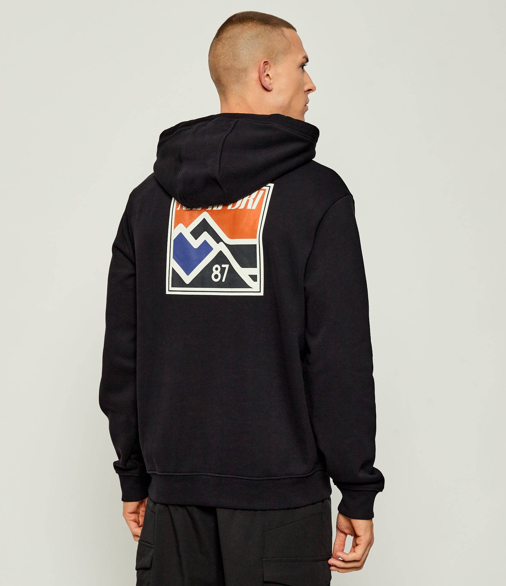 Napapijri Hanorac B-Guide H | Relaxed fit
