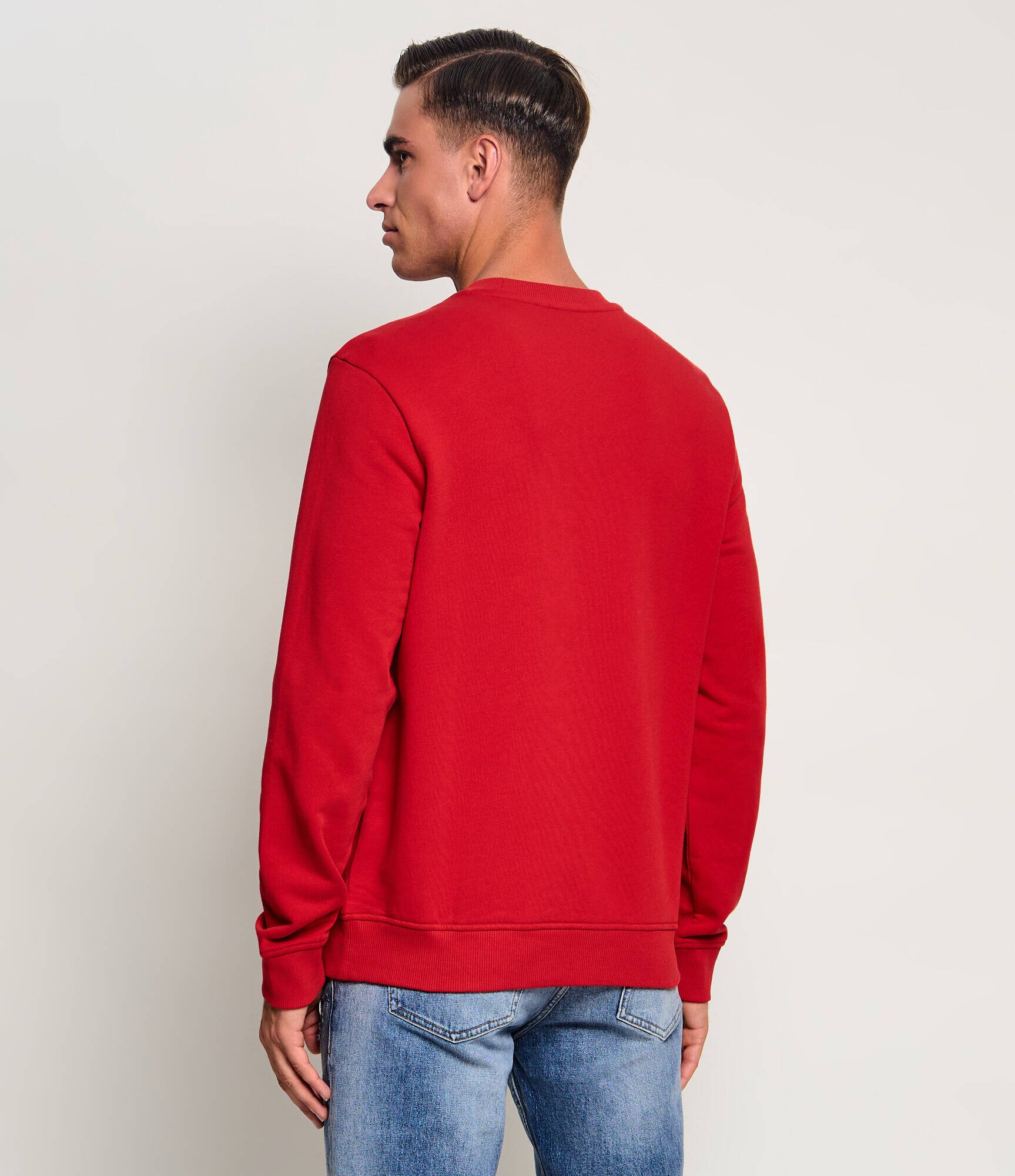 Napapijri Hanorac Balis Crew Sum 2 | regular fit