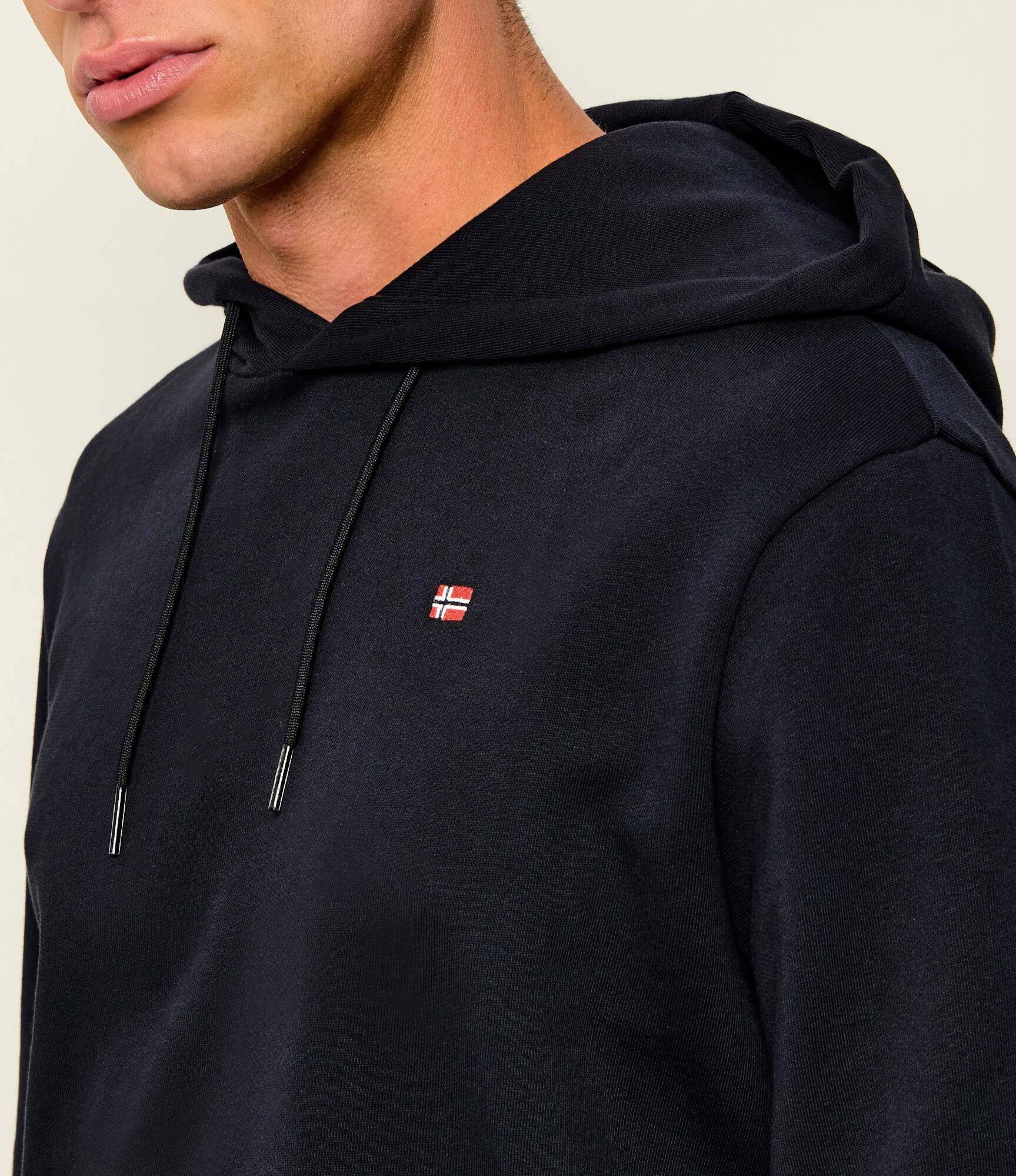 Napapijri Hanorac BALIS H SUM | Regular Fit