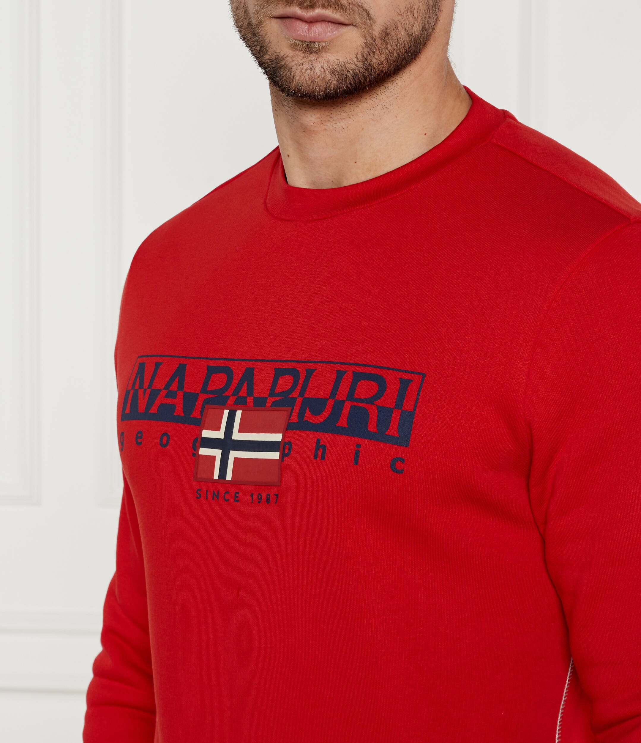 Napapijri Hanorac | Regular Fit