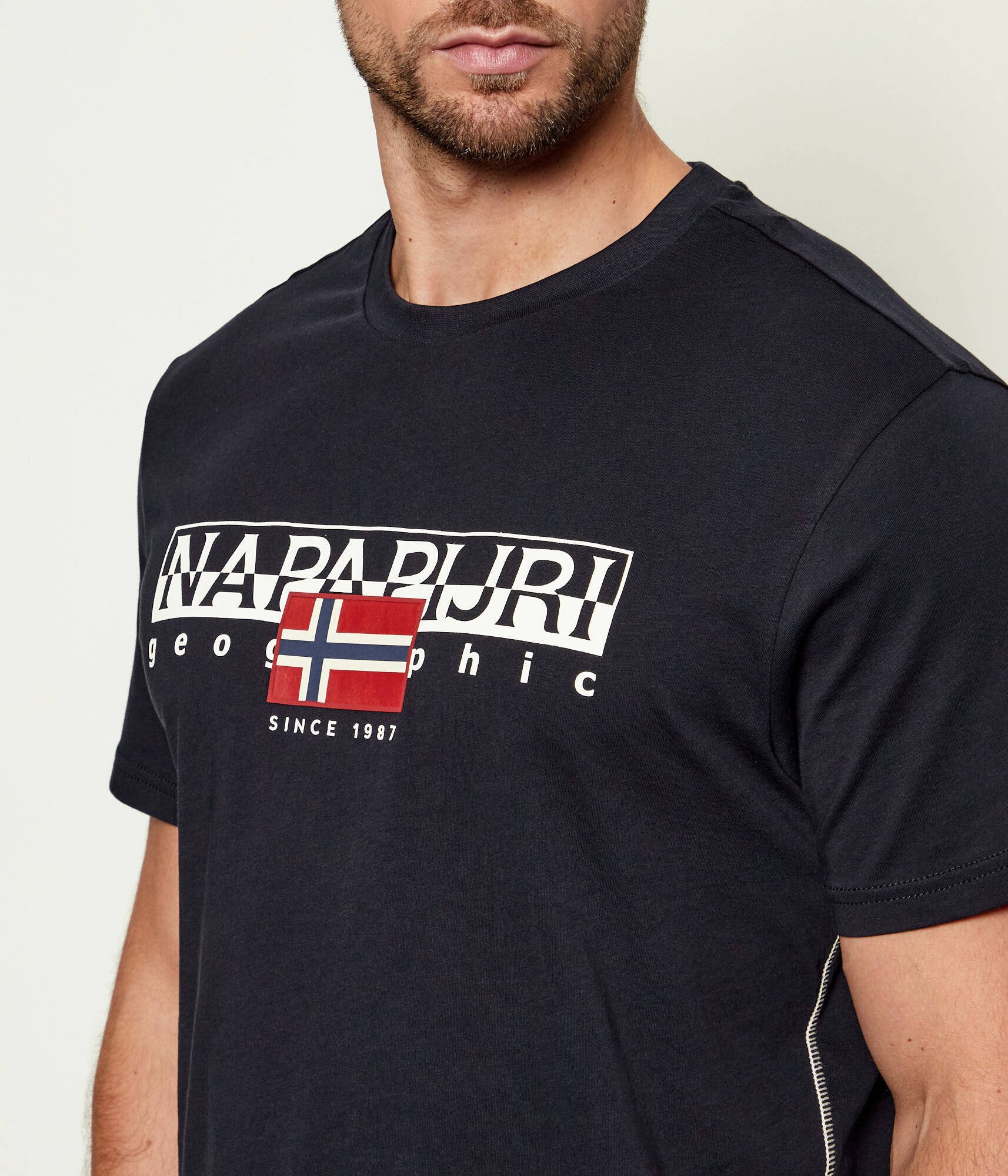 Napapijri Tricou S-Aylmer | regular fit