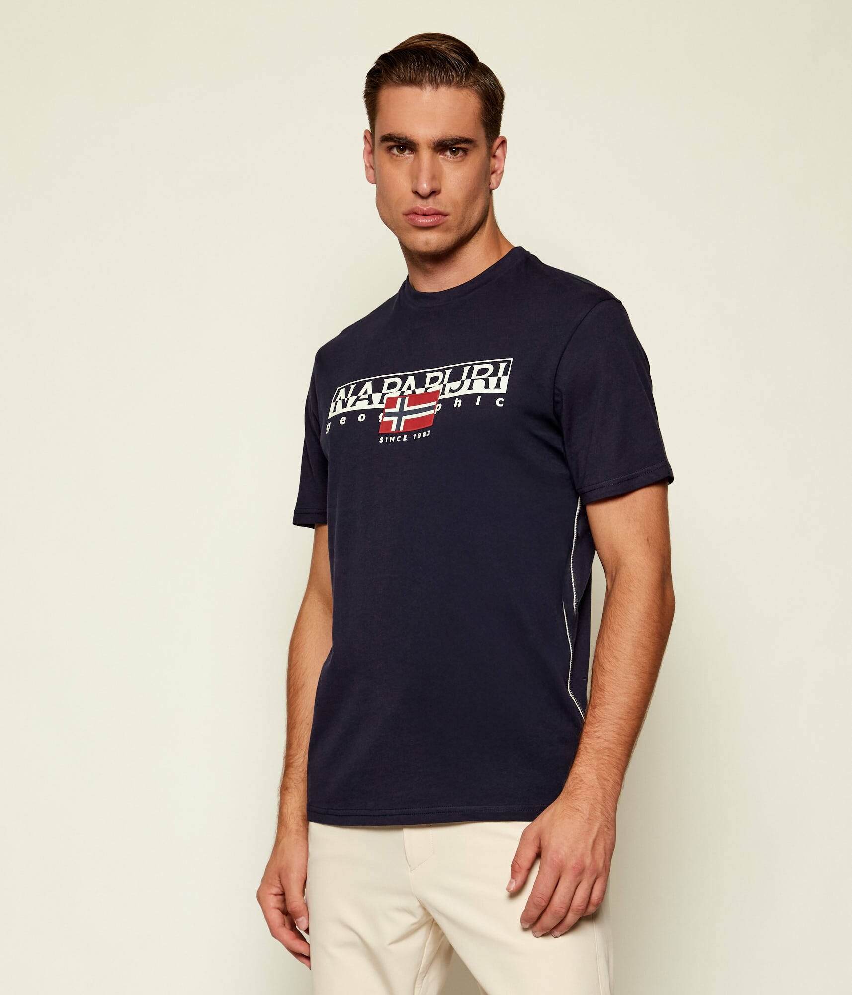 Napapijri Tricou S-Aylmer | regular fit