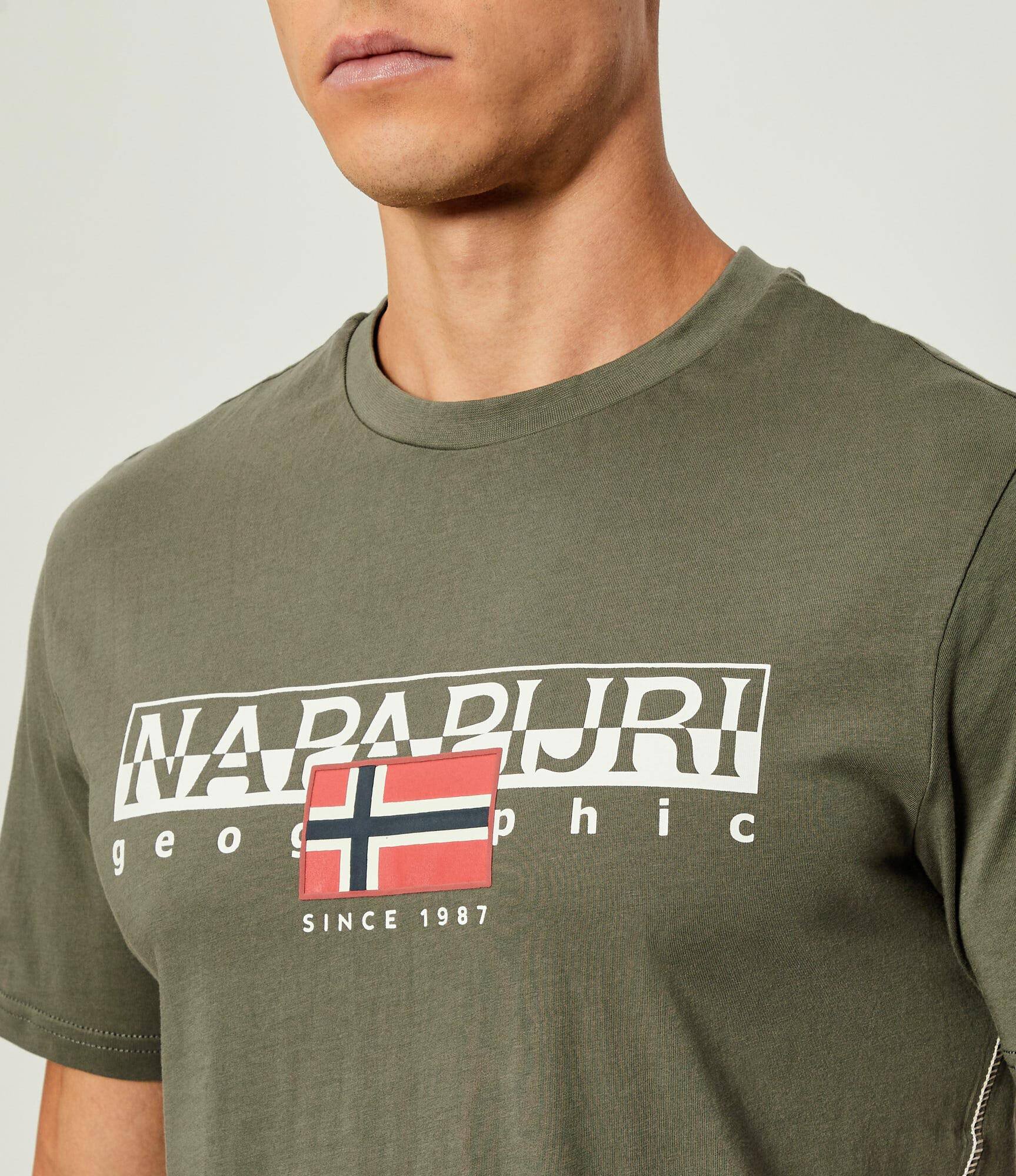 Napapijri Tricou S-Aylmer | regular fit