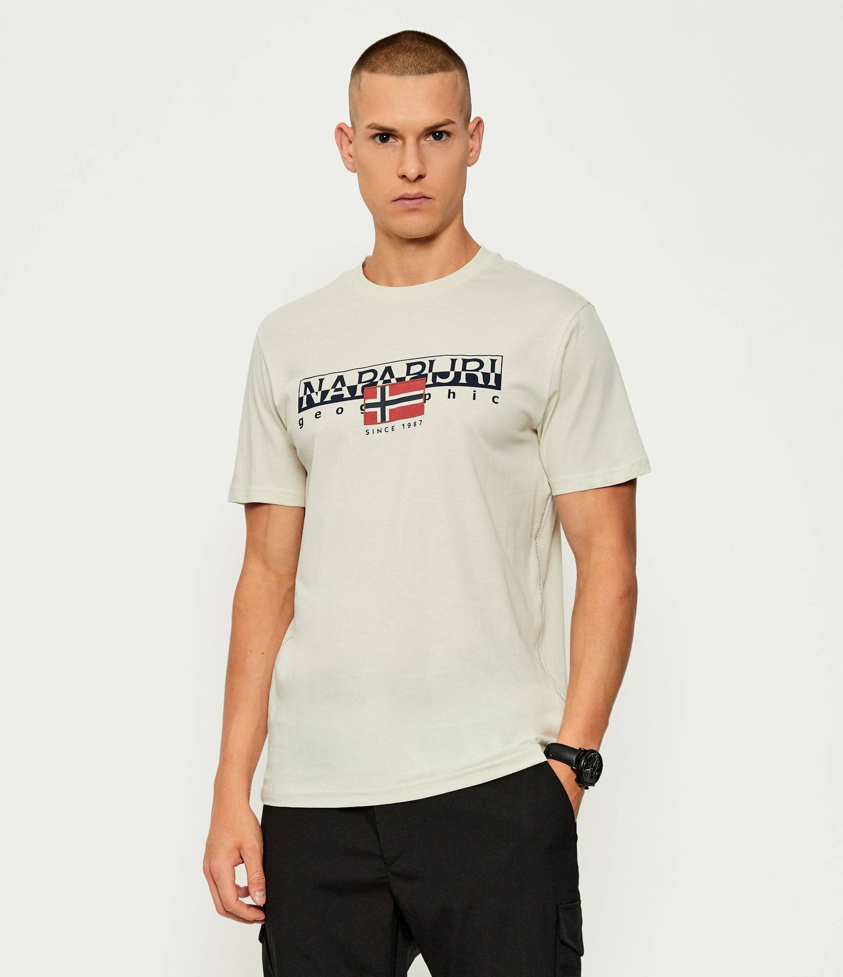 Napapijri Tricou S-Aylmer | regular fit