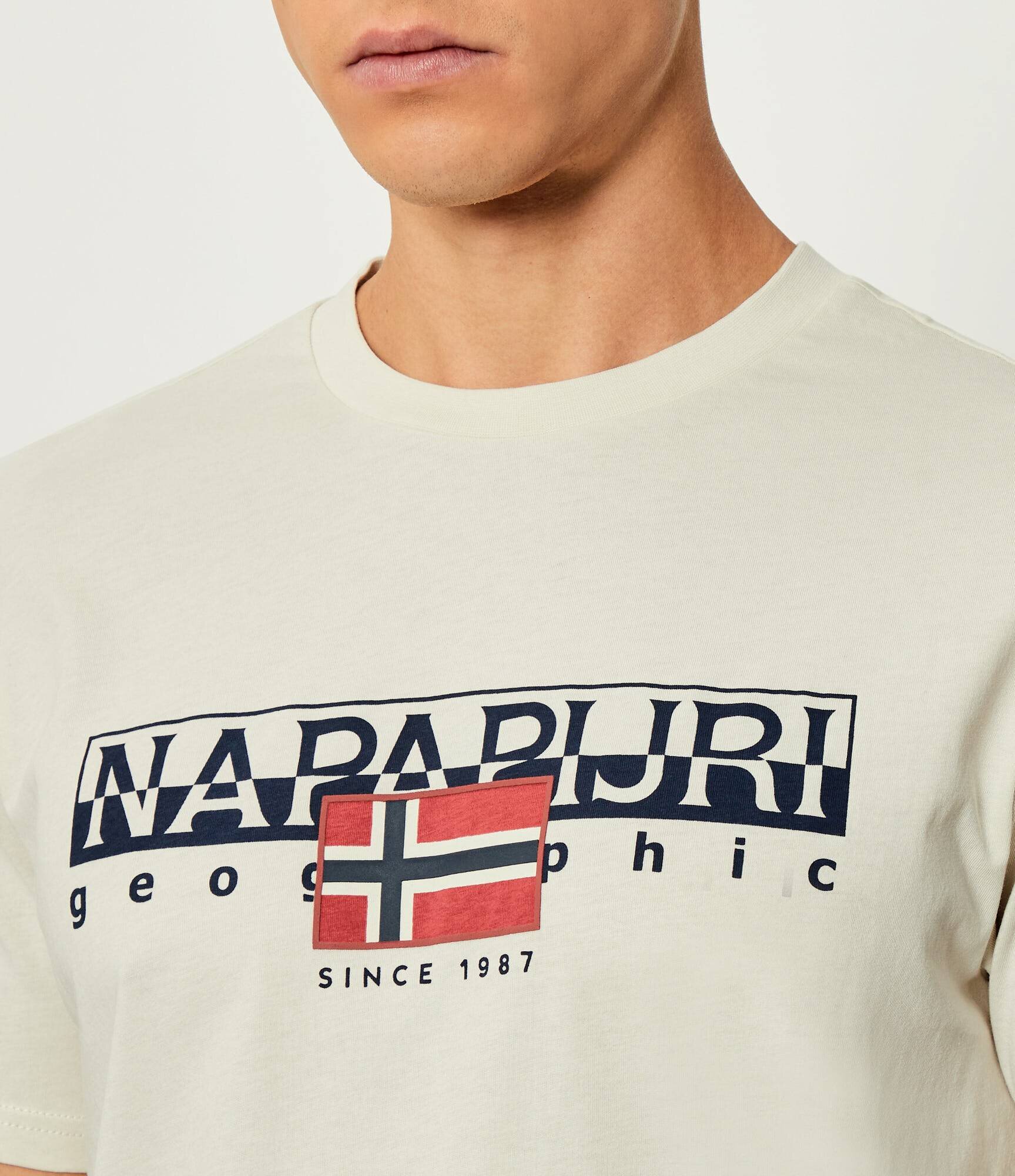 Napapijri Tricou S-Aylmer | regular fit