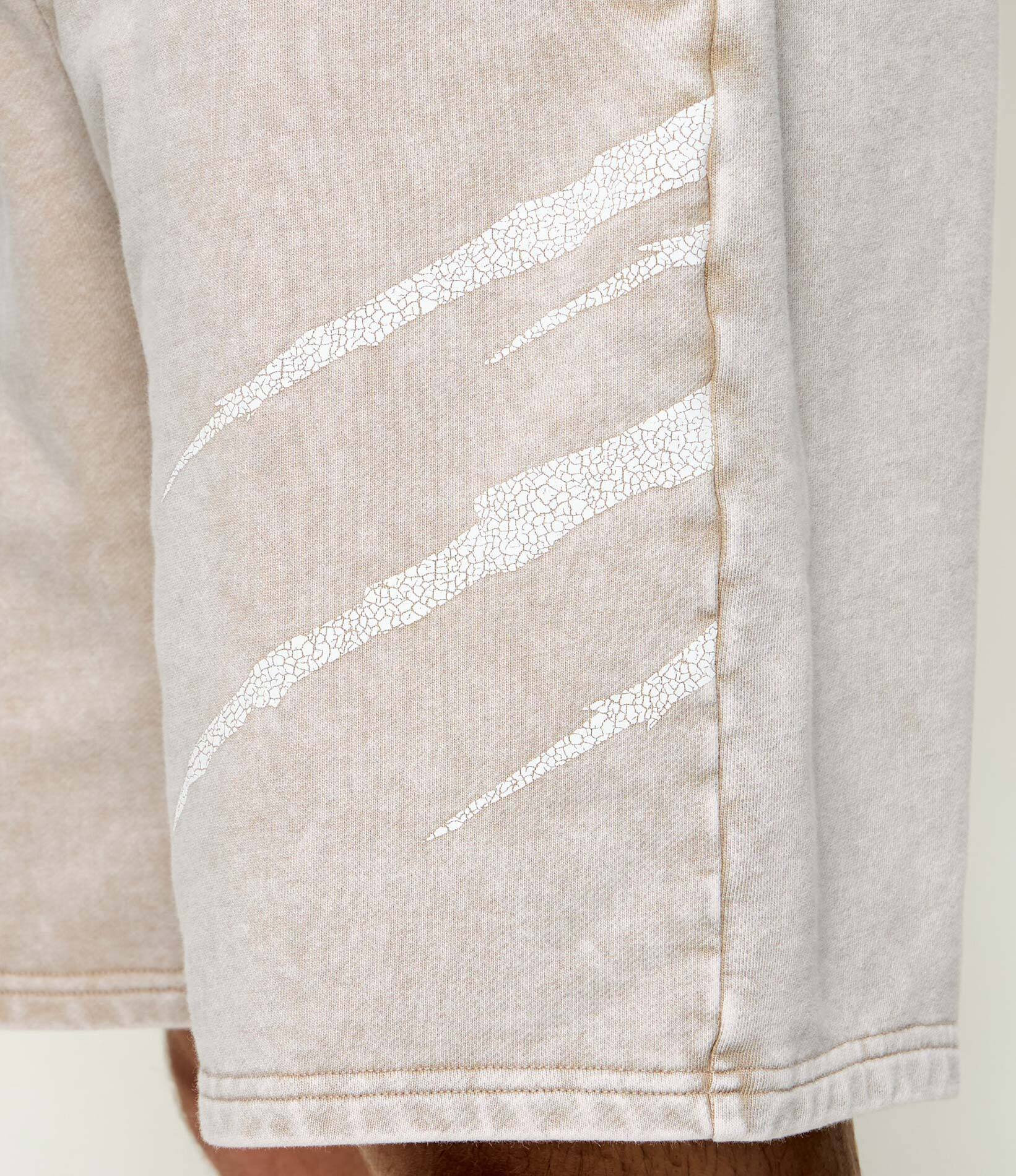 Plein Sport Pantaloni scurți Crackle Scratch | Loose fit