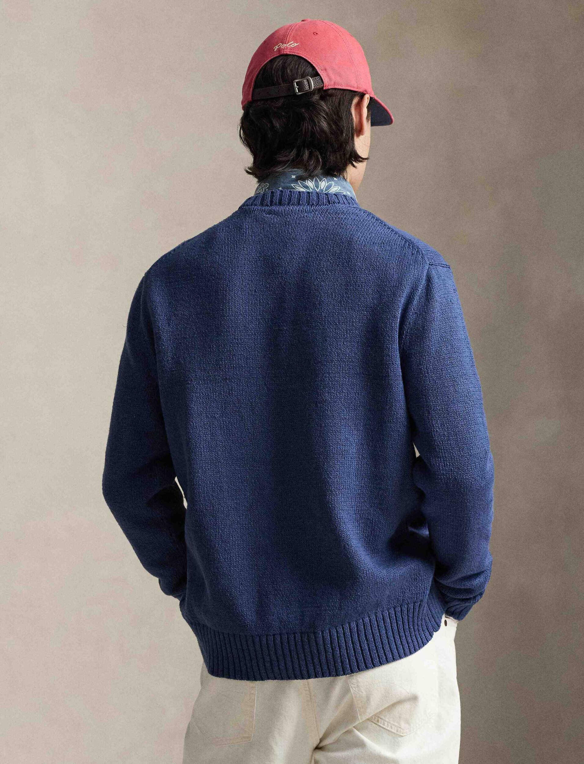 Polo Ralph Lauren De in pulover | regular fit