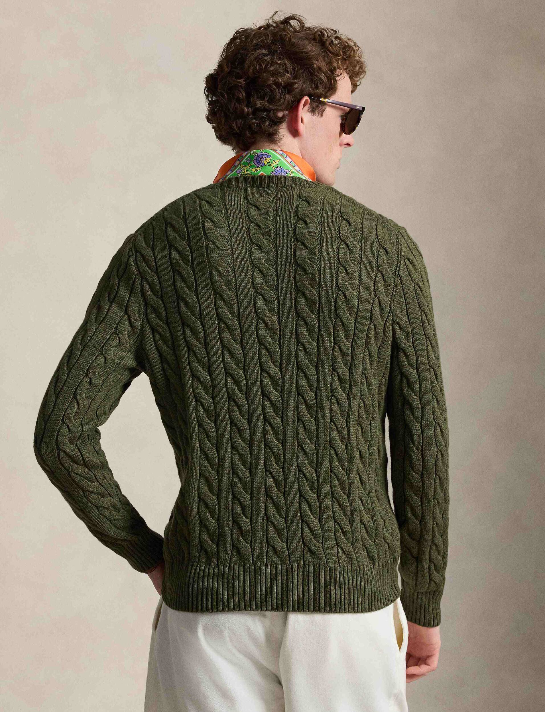 Polo Ralph Lauren Pulover Driver | regular fit