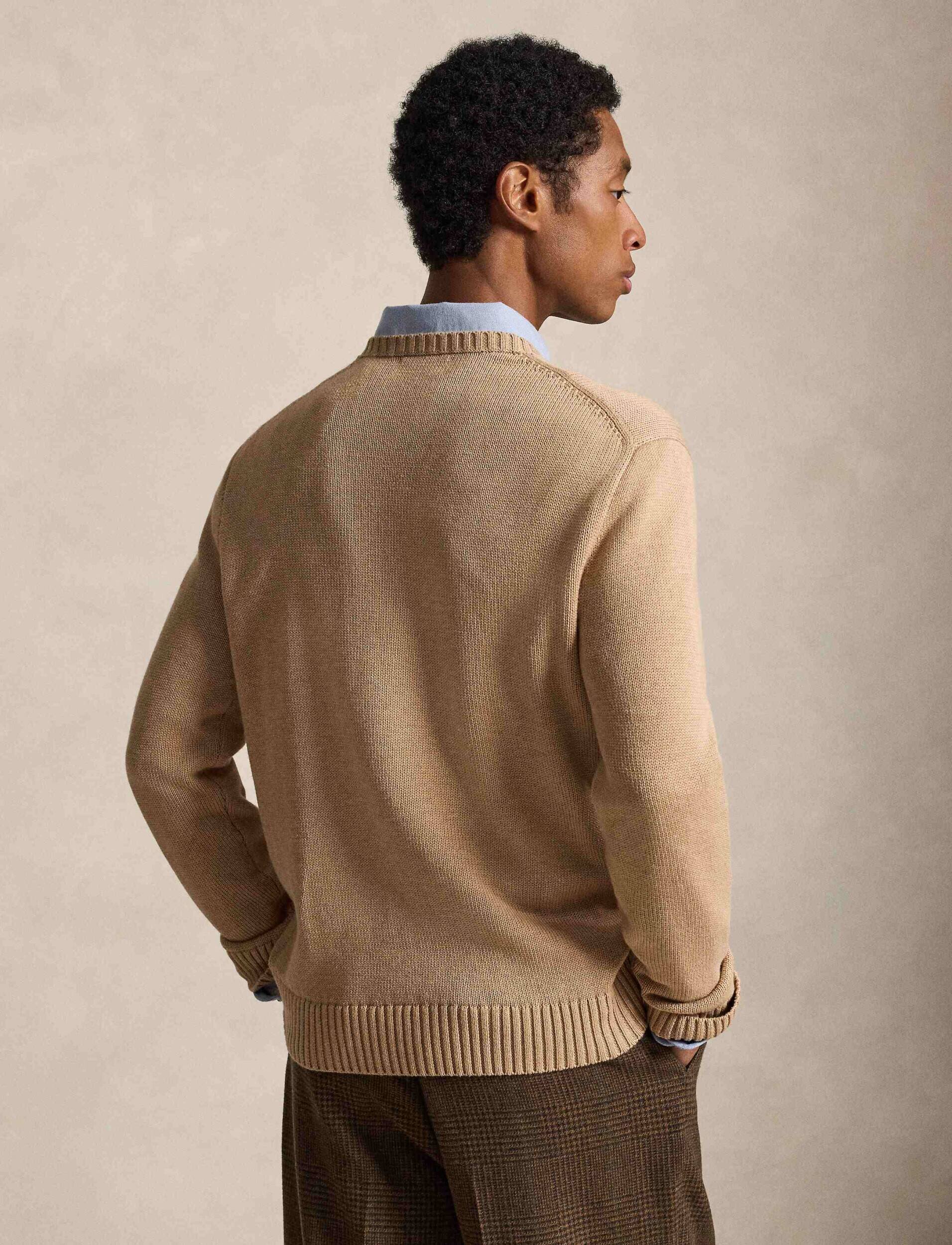 Polo Ralph Lauren Pulover | regular fit
