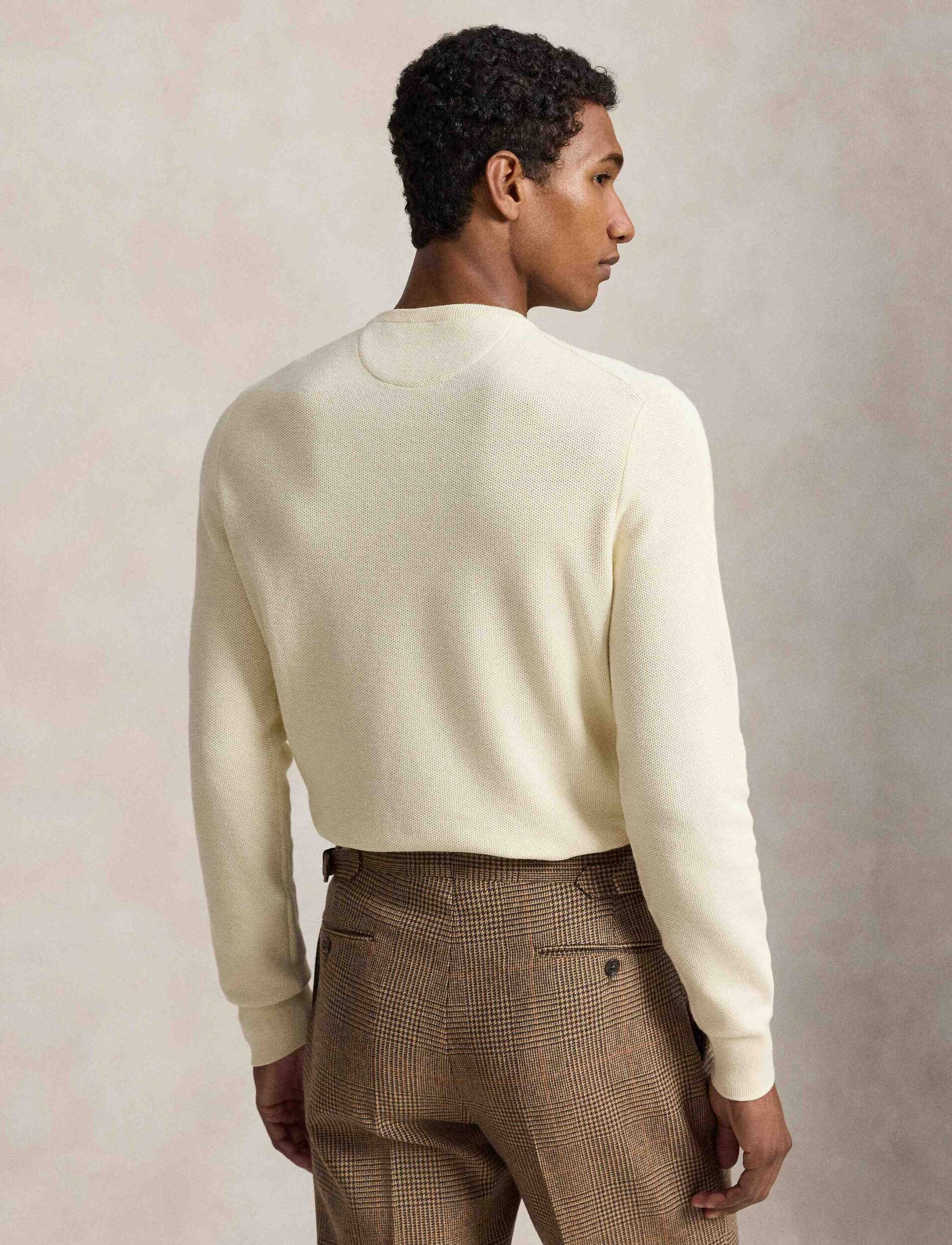 Polo Ralph Lauren Pulover | regular fit