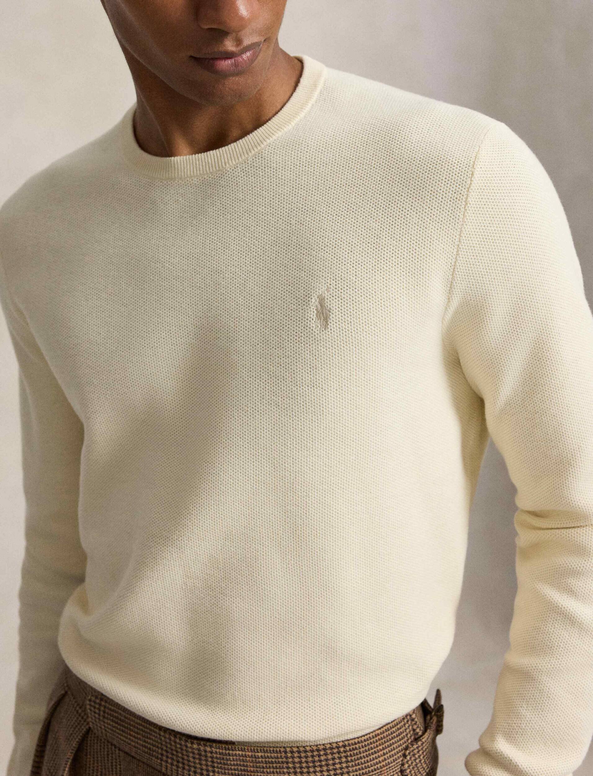 Polo Ralph Lauren Pulover | regular fit