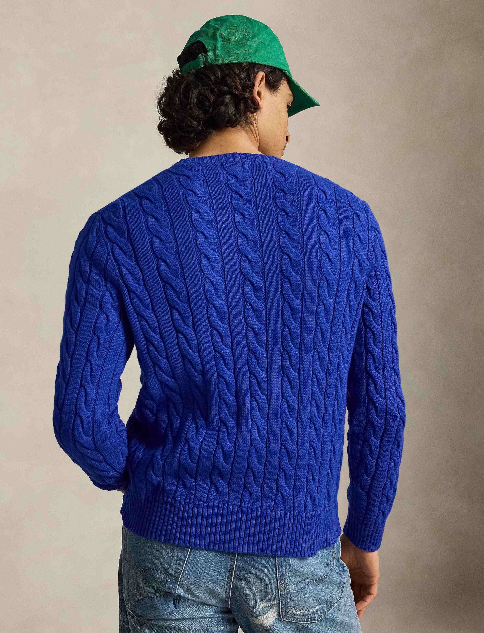 Polo Ralph Lauren Pulover | regular fit