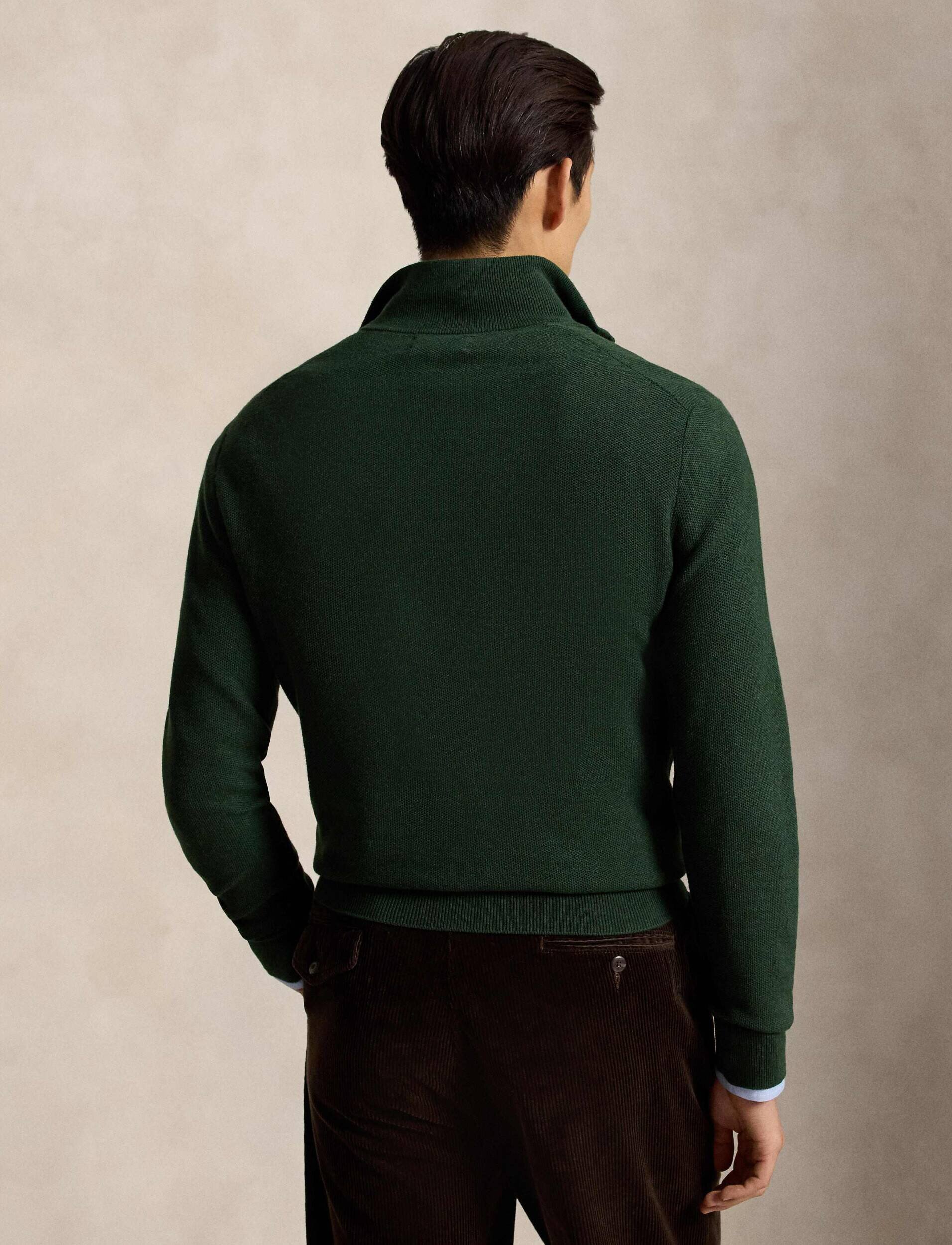 Polo Ralph Lauren Pulover | regular fit