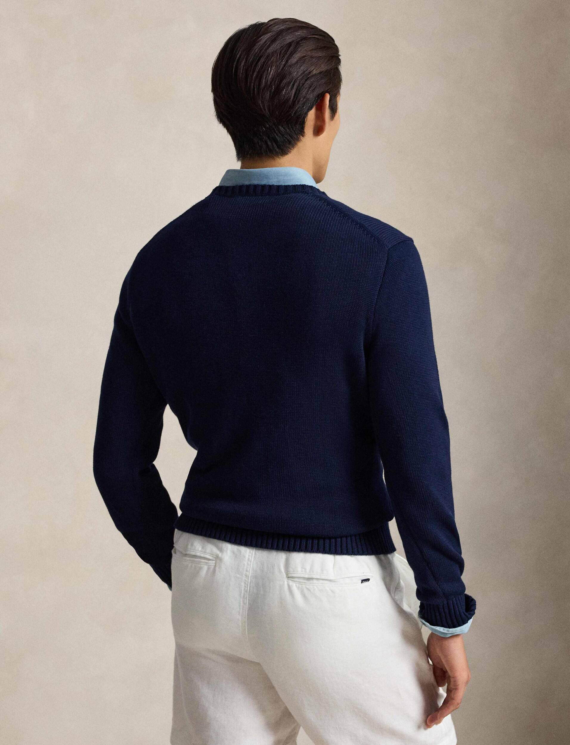 Polo Ralph Lauren Pulover | regular fit
