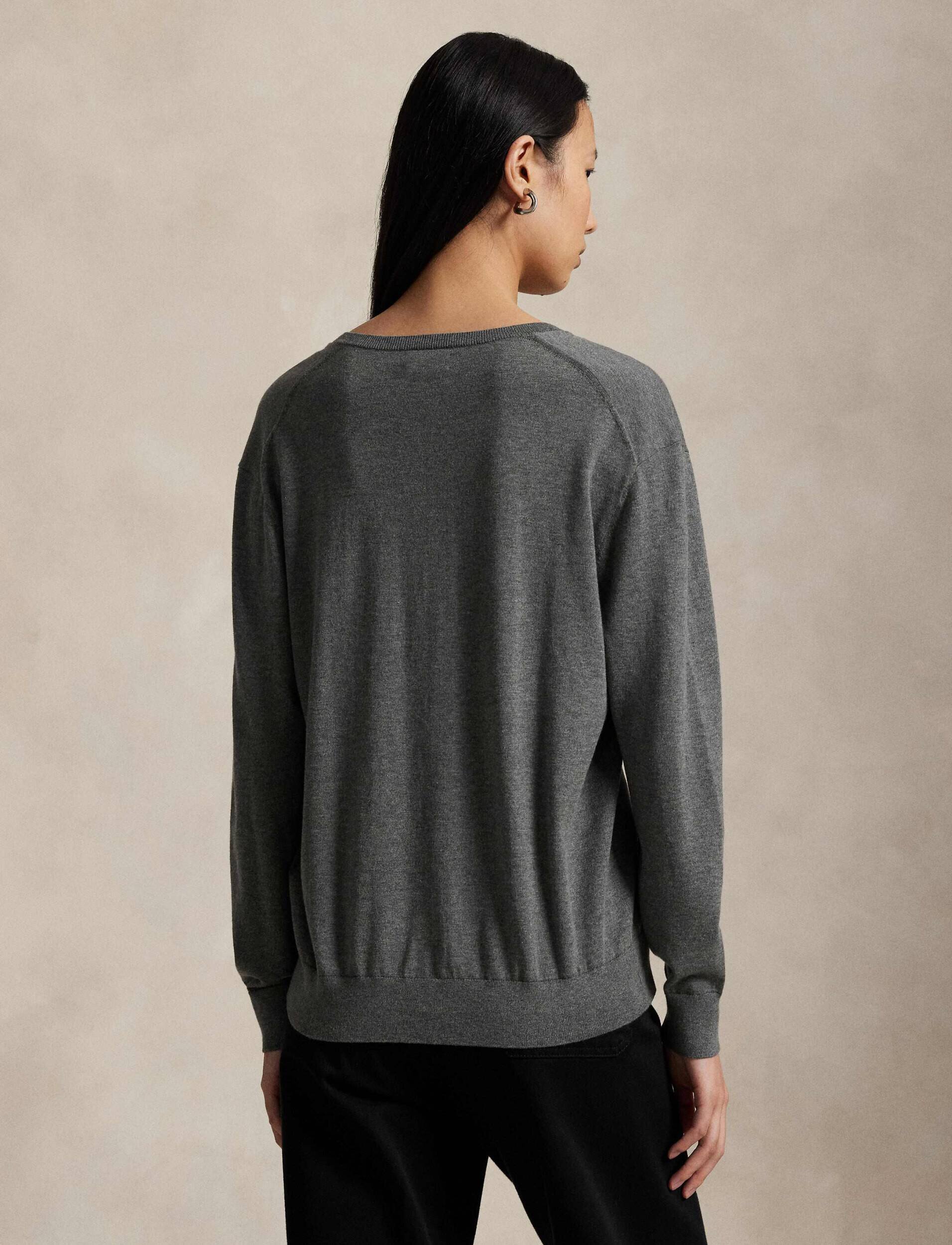 Polo Ralph Lauren Pulover | regular fit