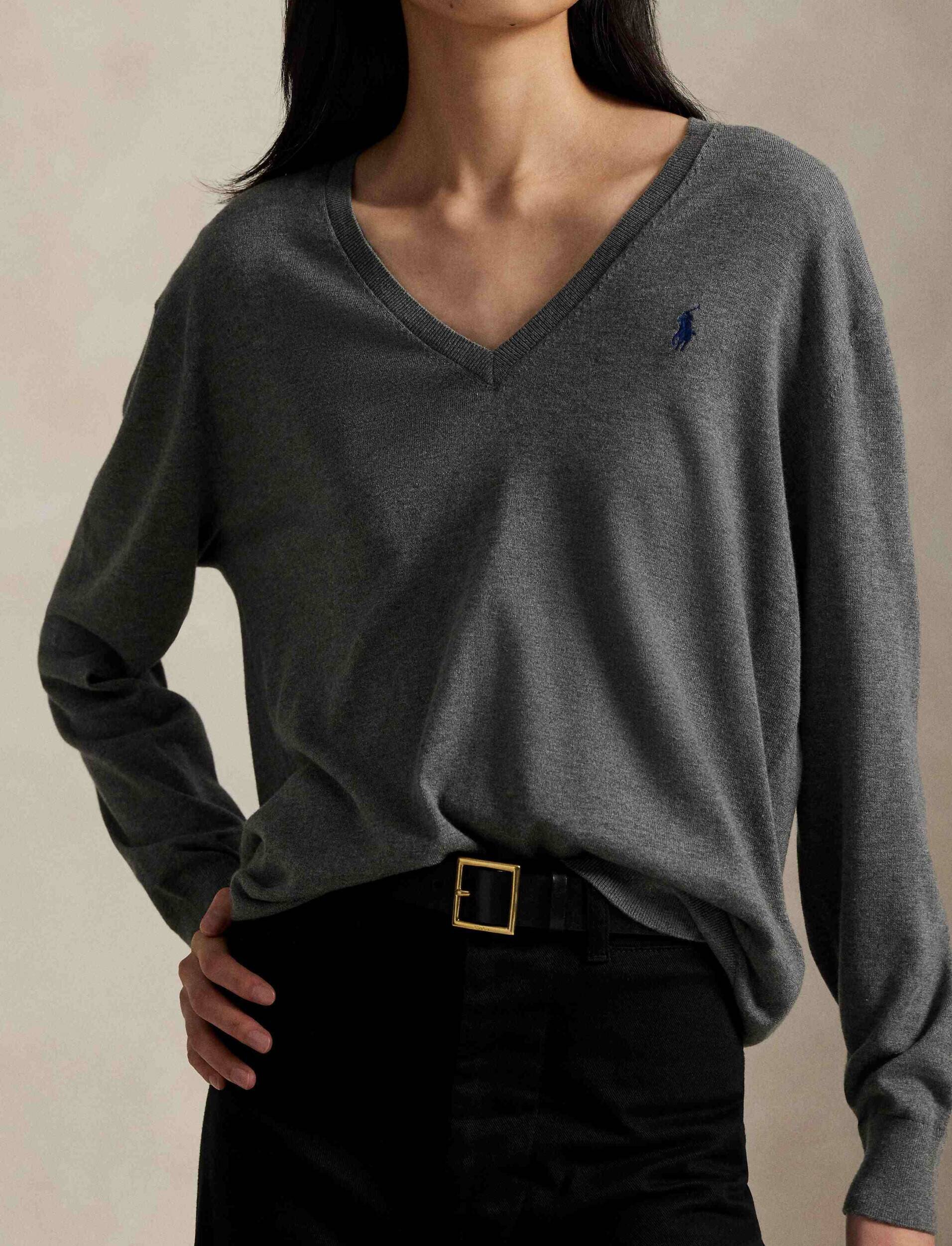 Polo Ralph Lauren Pulover | regular fit