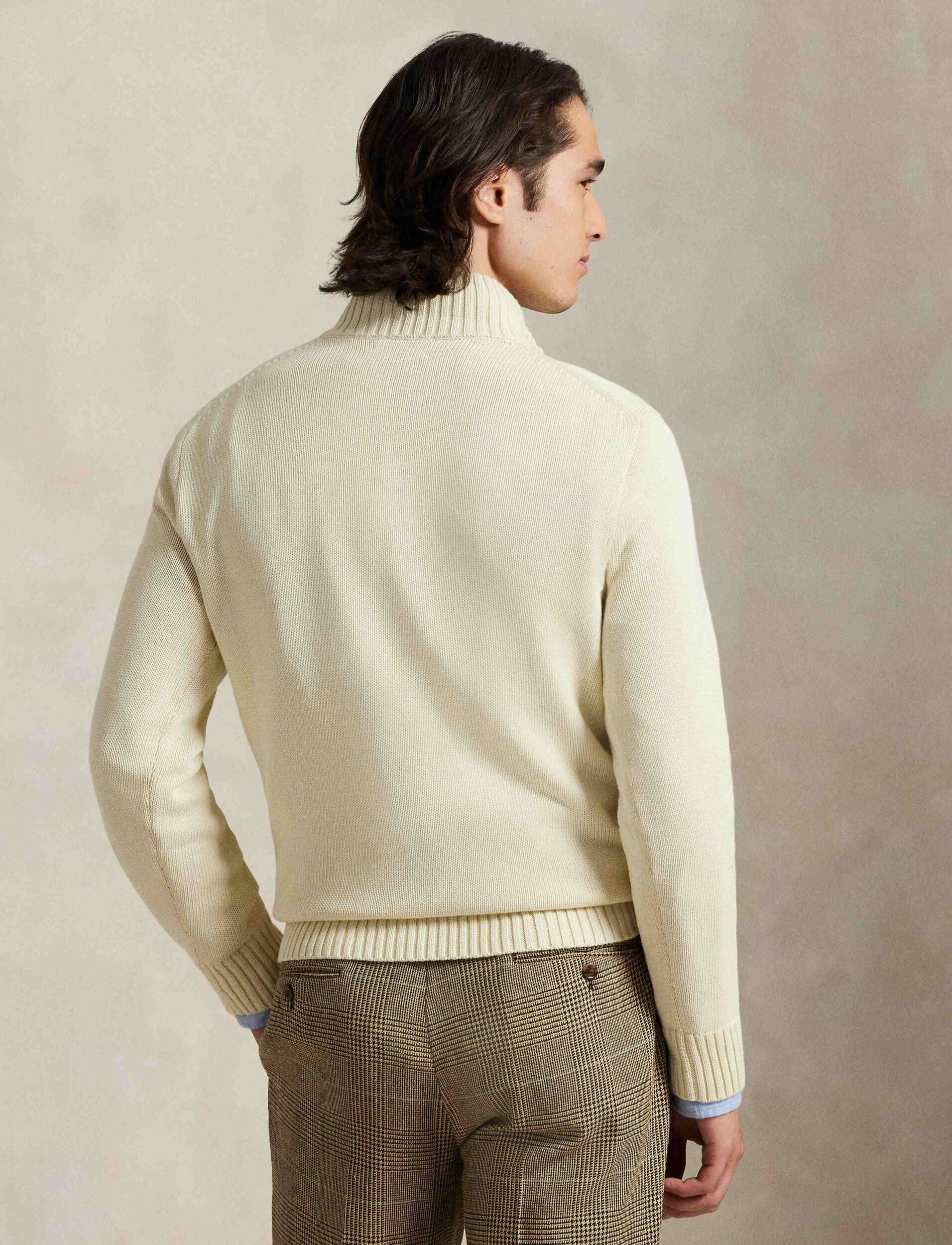 Polo Ralph Lauren Pulover | regular fit