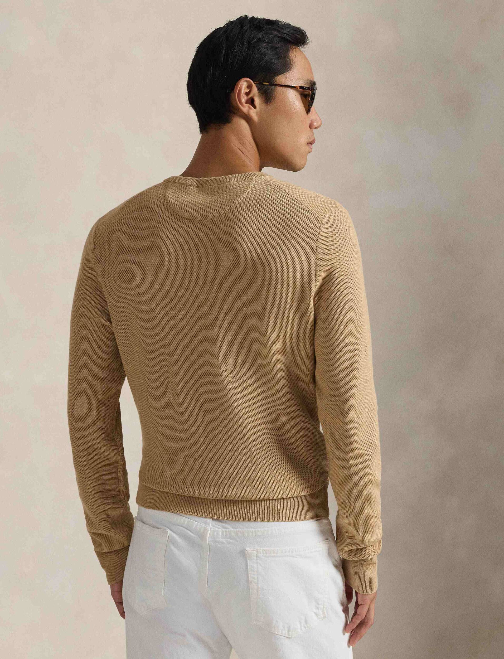 Polo Ralph Lauren Pulover | regular fit