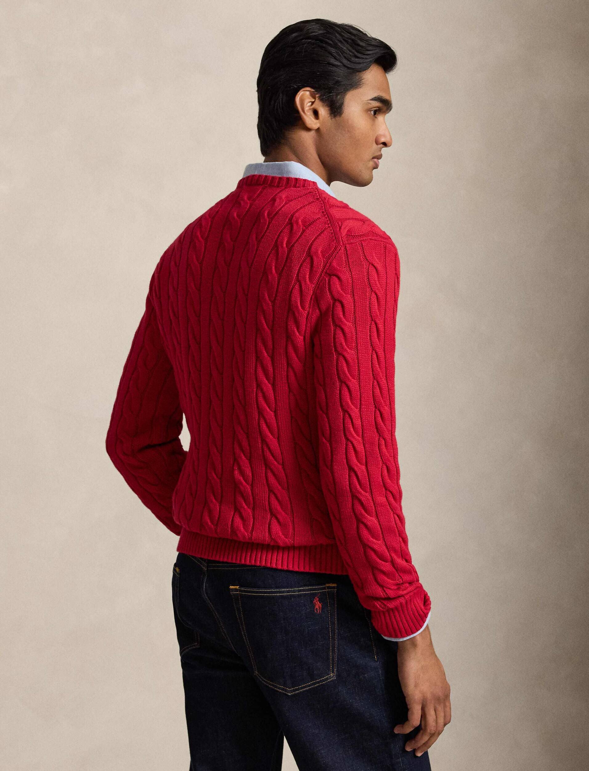 Polo Ralph Lauren Pulover | Regular Fit