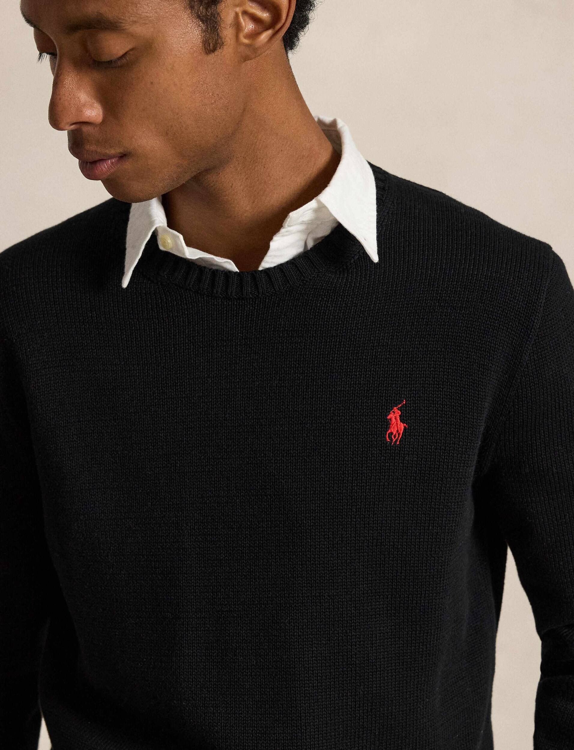Polo Ralph Lauren Pulover | Regular Fit