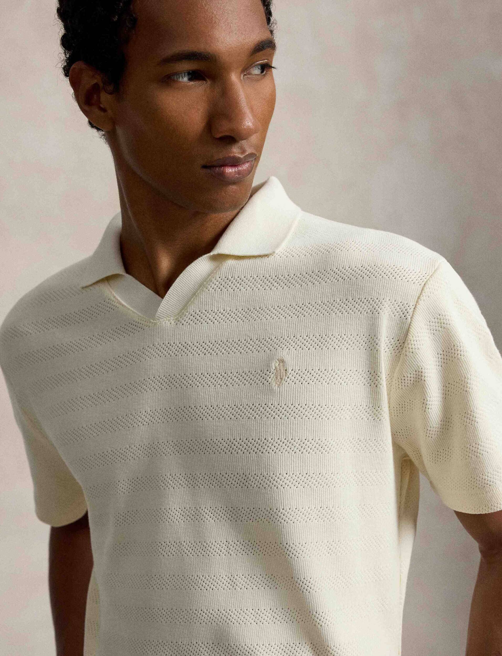 Polo Ralph Lauren Pulover | regular fit