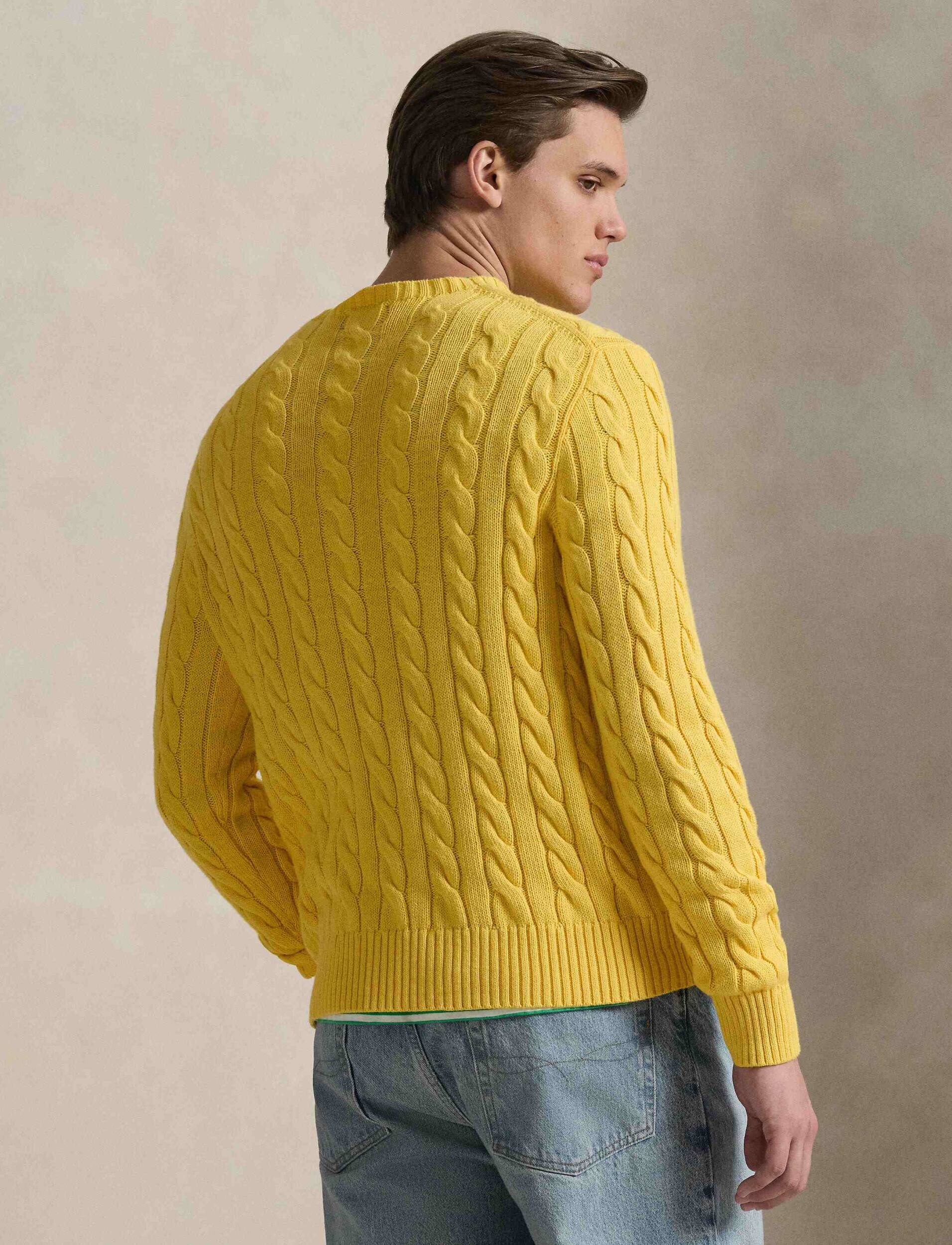 Polo Ralph Lauren Pulover | regular fit