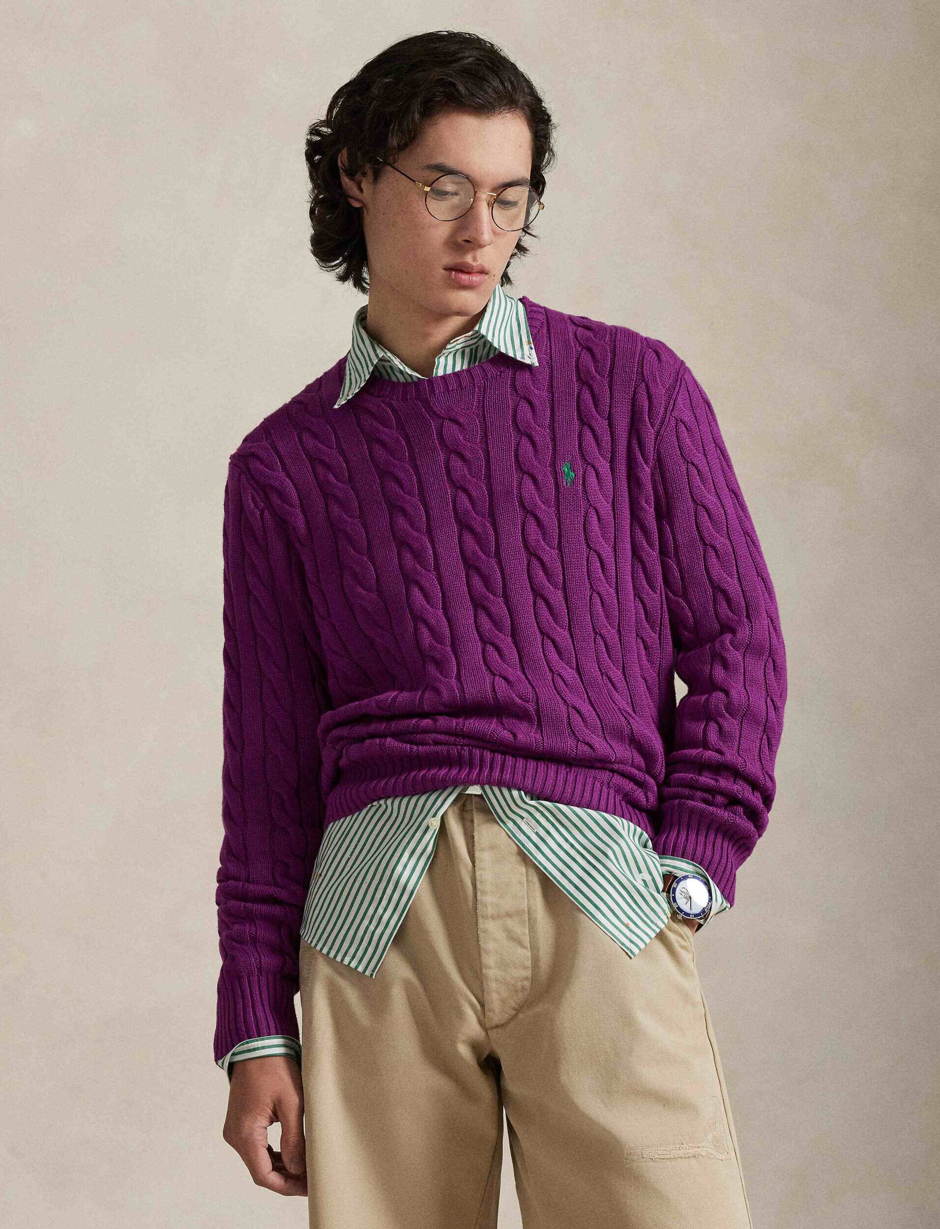 Polo Ralph Lauren Pulover | regular fit