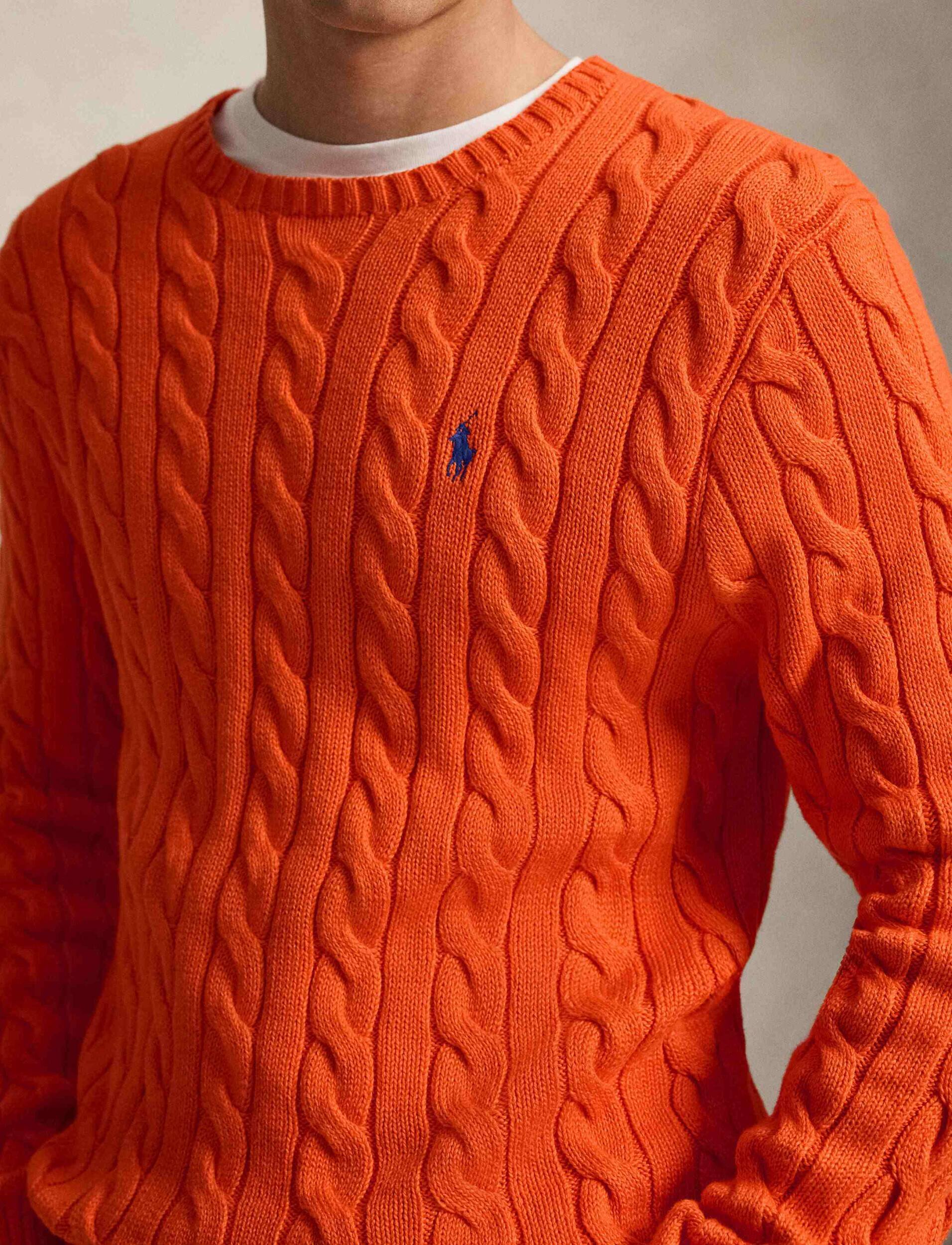 Polo Ralph Lauren Pulover | regular fit