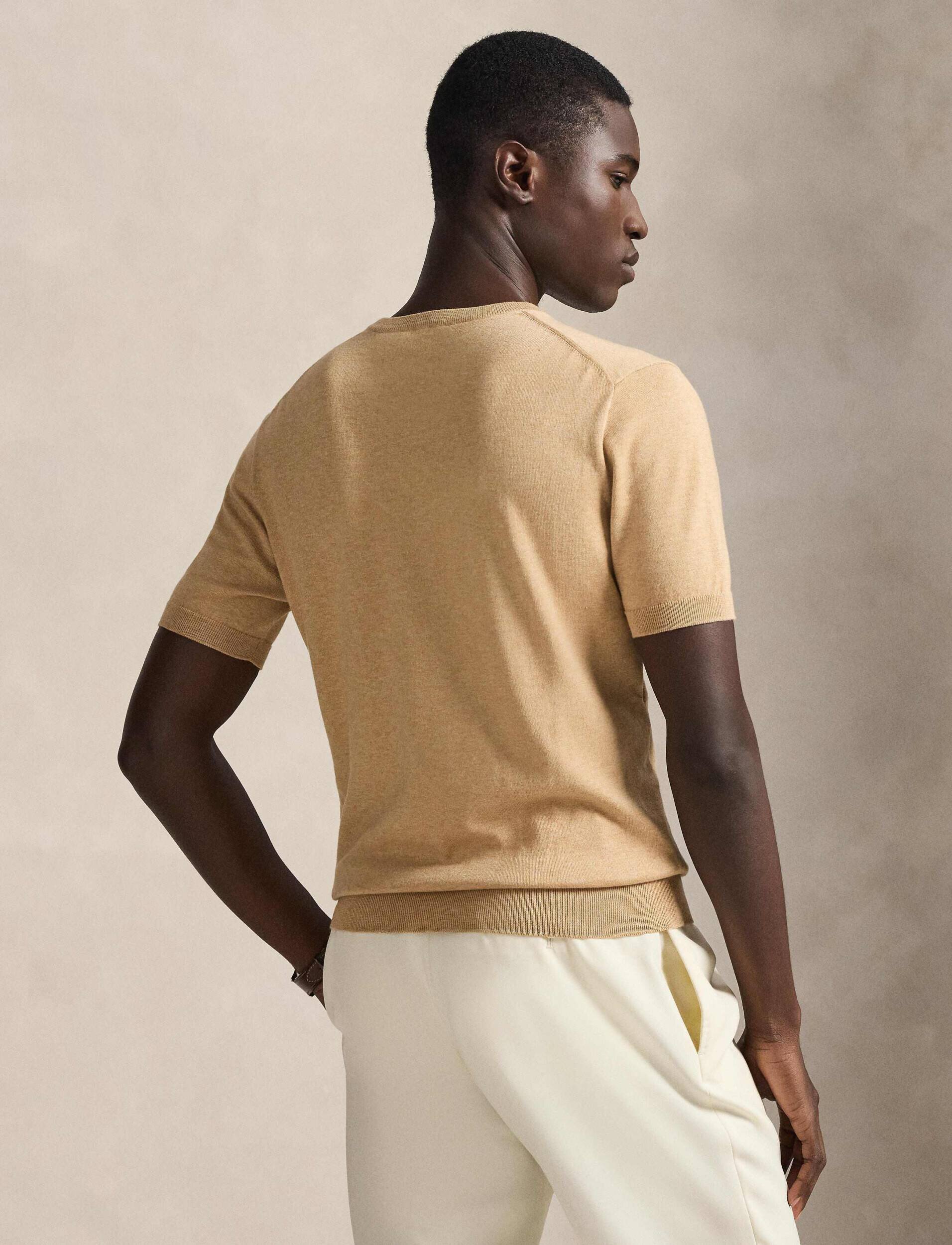 Polo Ralph Lauren Pulover | regular fit