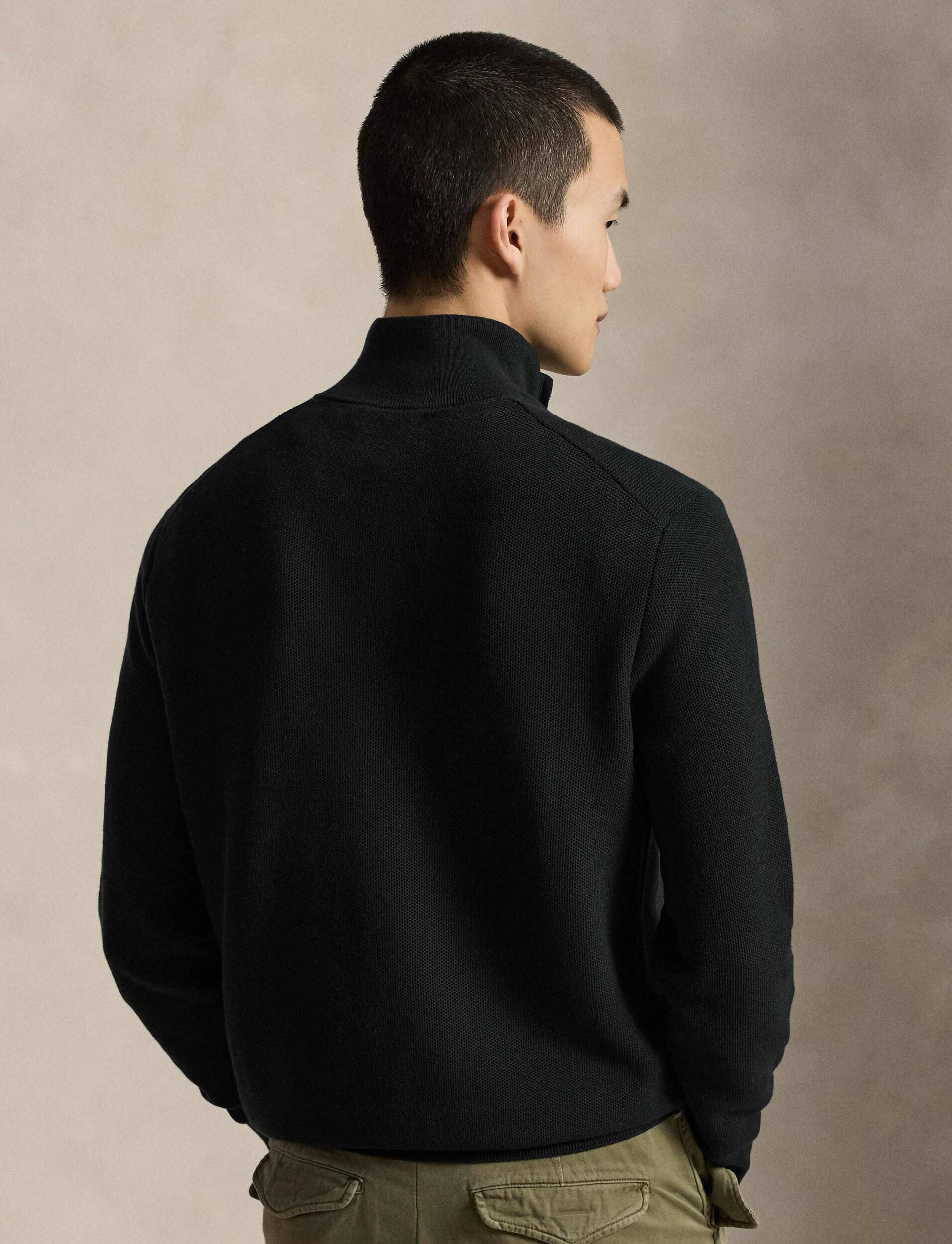 Polo Ralph Lauren Pulover | regular fit