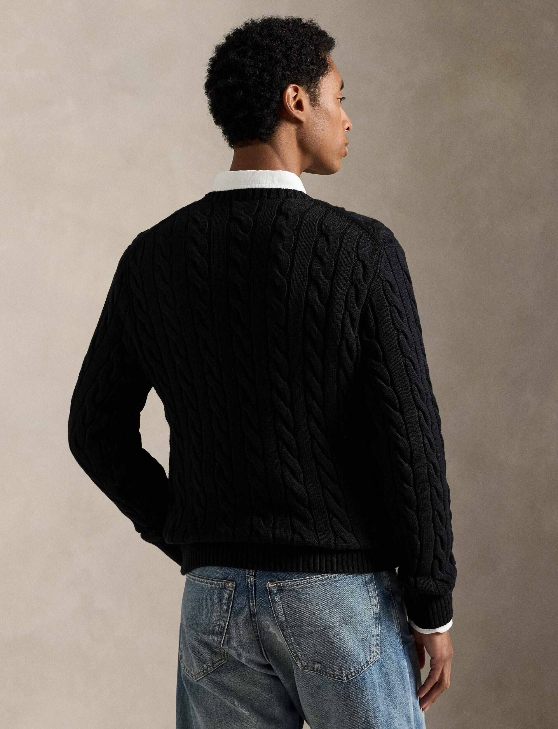 Polo Ralph Lauren Pulover | Regular Fit