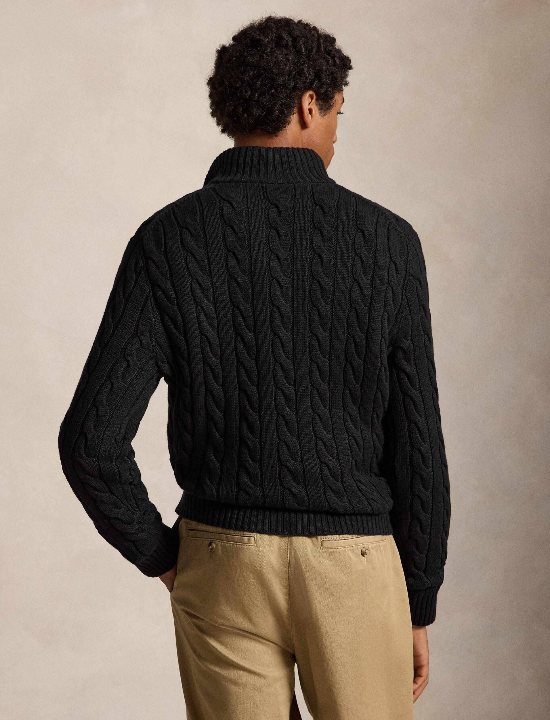 Polo Ralph Lauren Pulover | Regular Fit