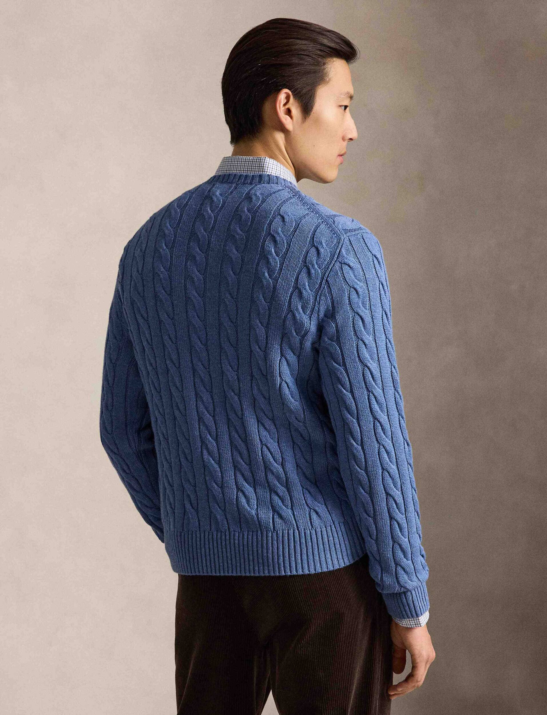 Polo Ralph Lauren Pulover | regular fit