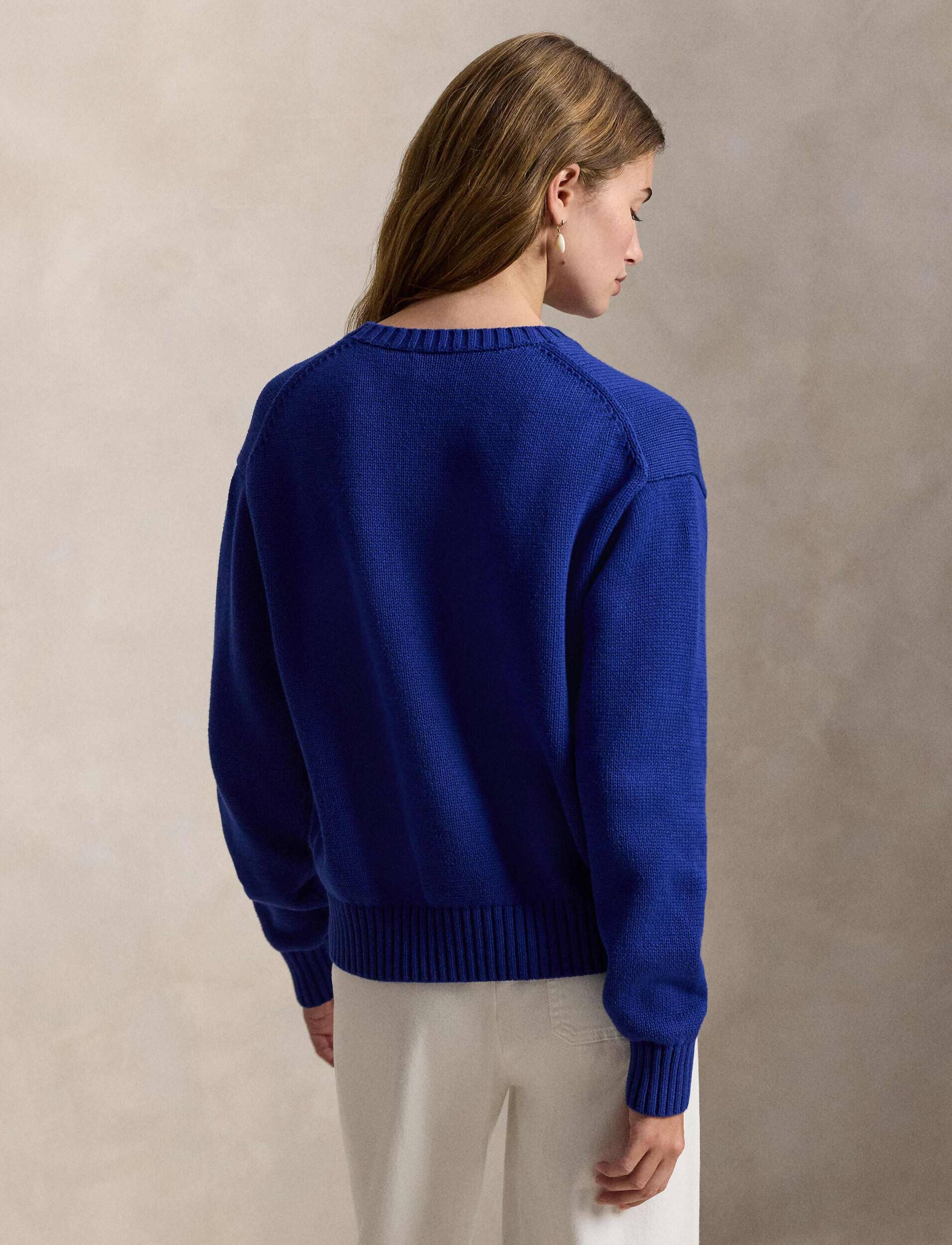 Polo Ralph Lauren Pulover | Relaxed fit