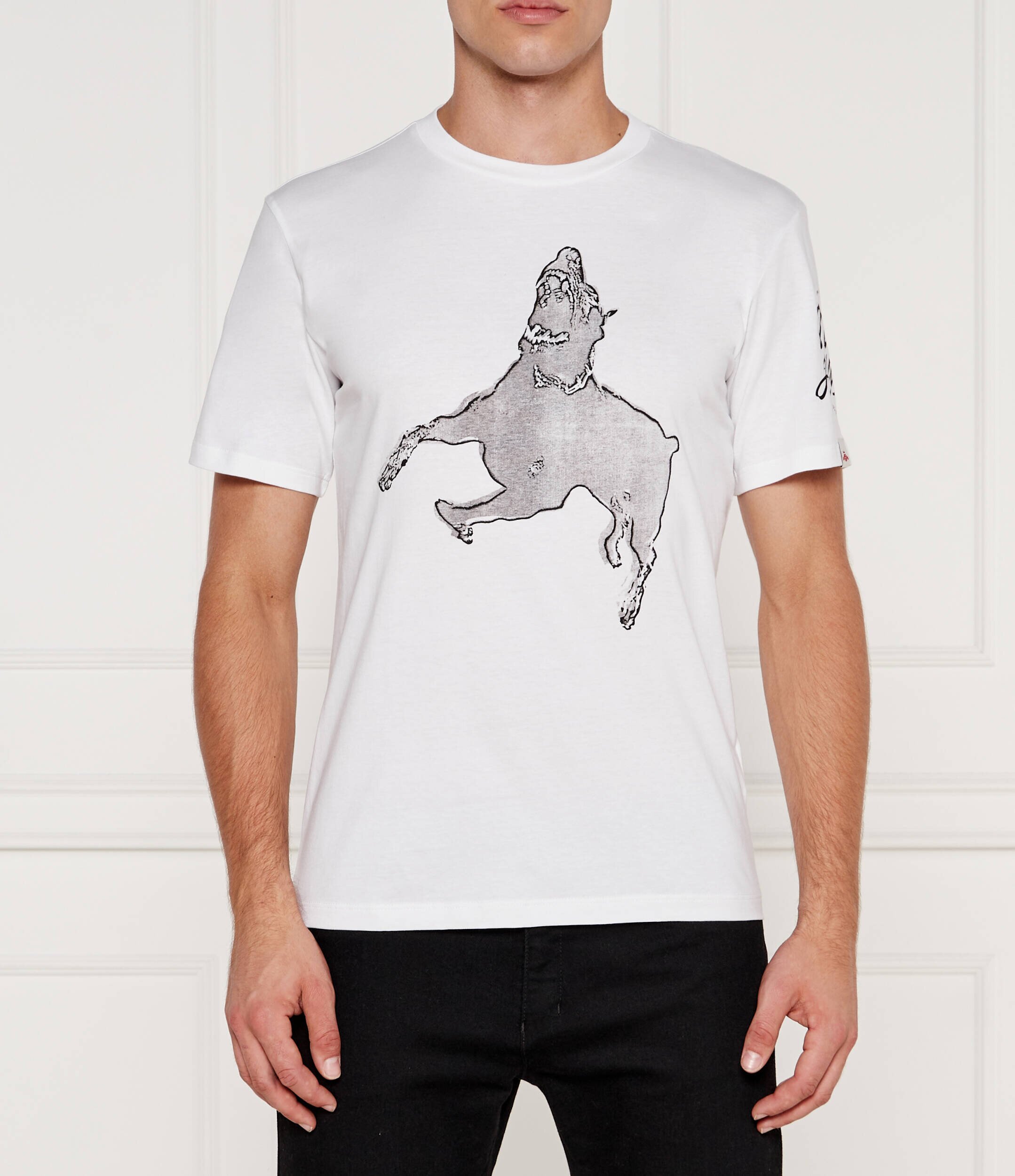 Replay Tricou | regular fit