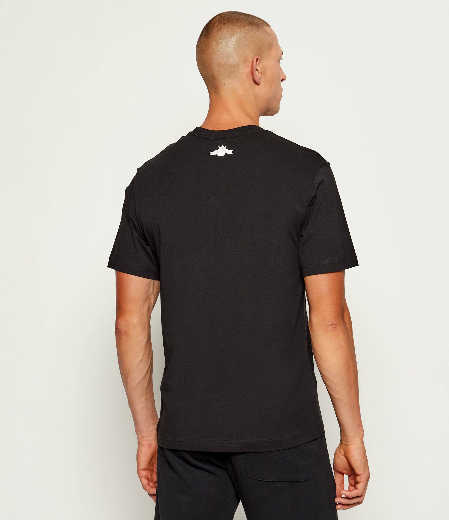 Replay Tricou | regular fit