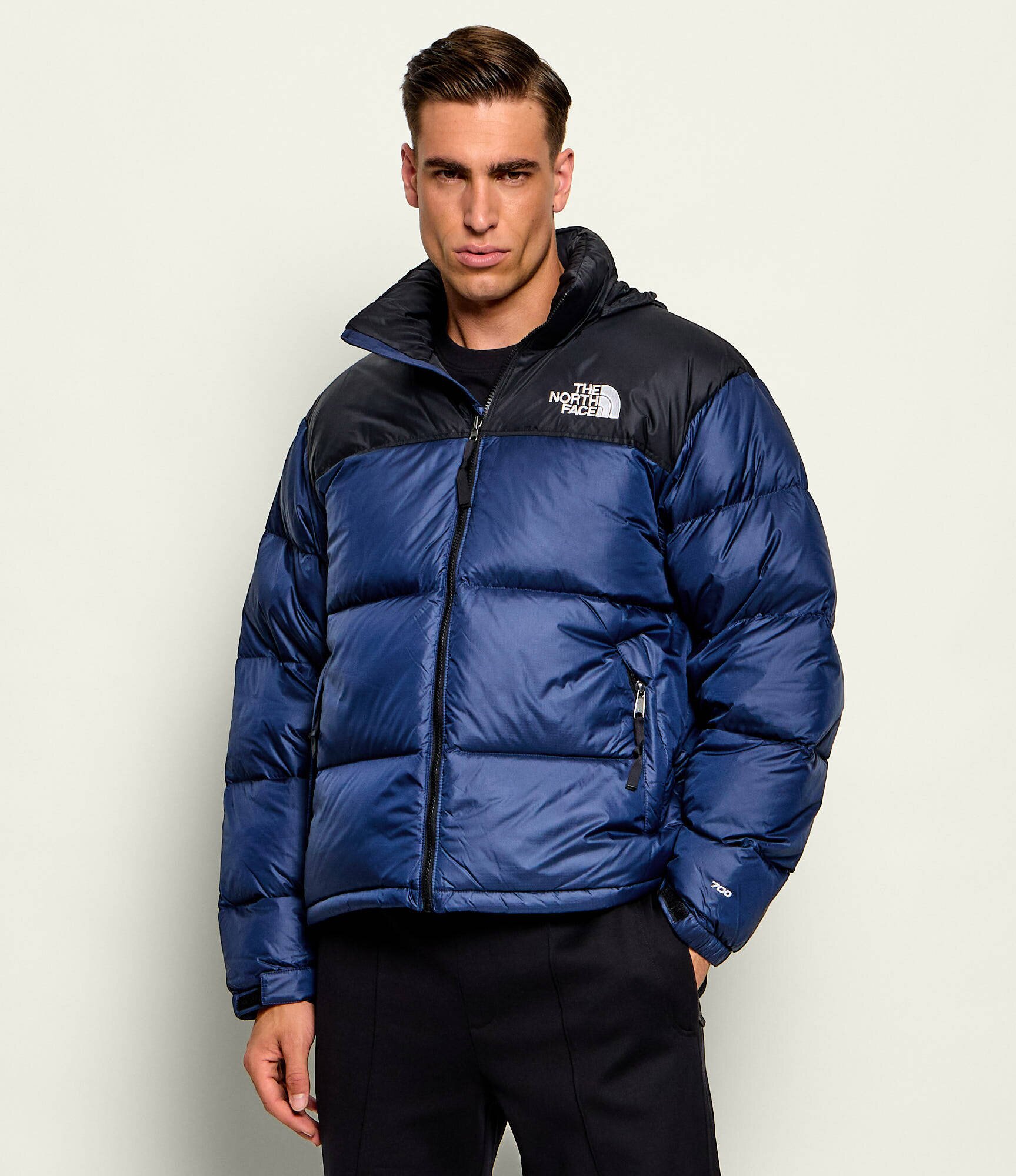 The North Face Geacă de puf 1996 Retro | regular fit