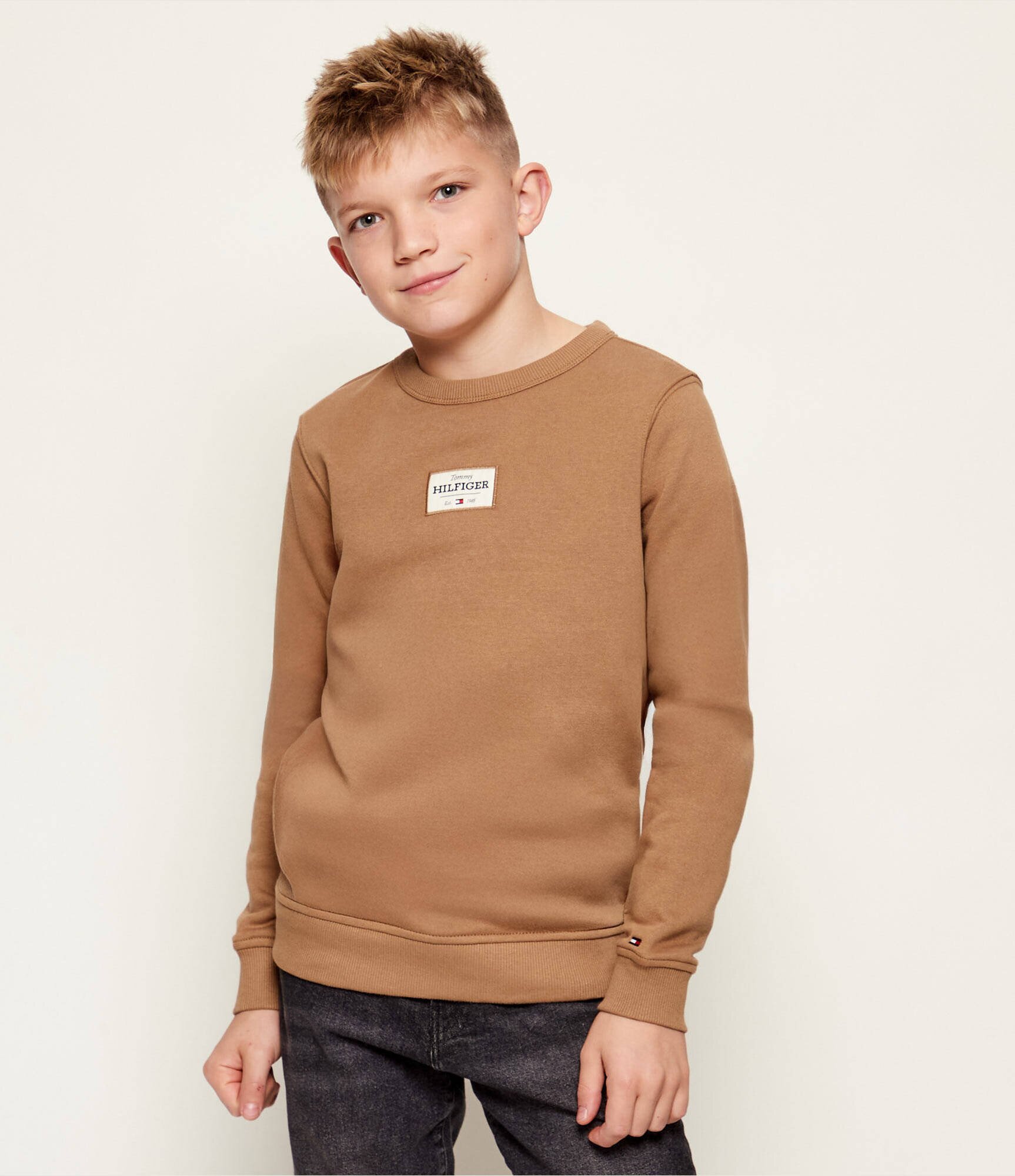 Tommy Hilfiger Hanorac | regular fit