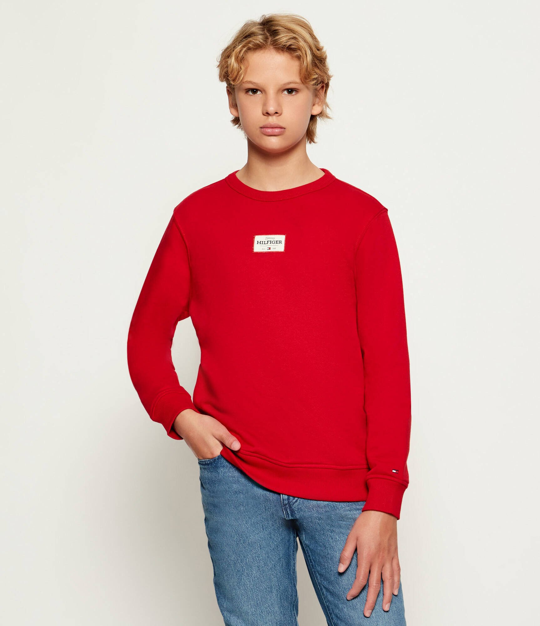 Tommy Hilfiger Hanorac | Regular Fit