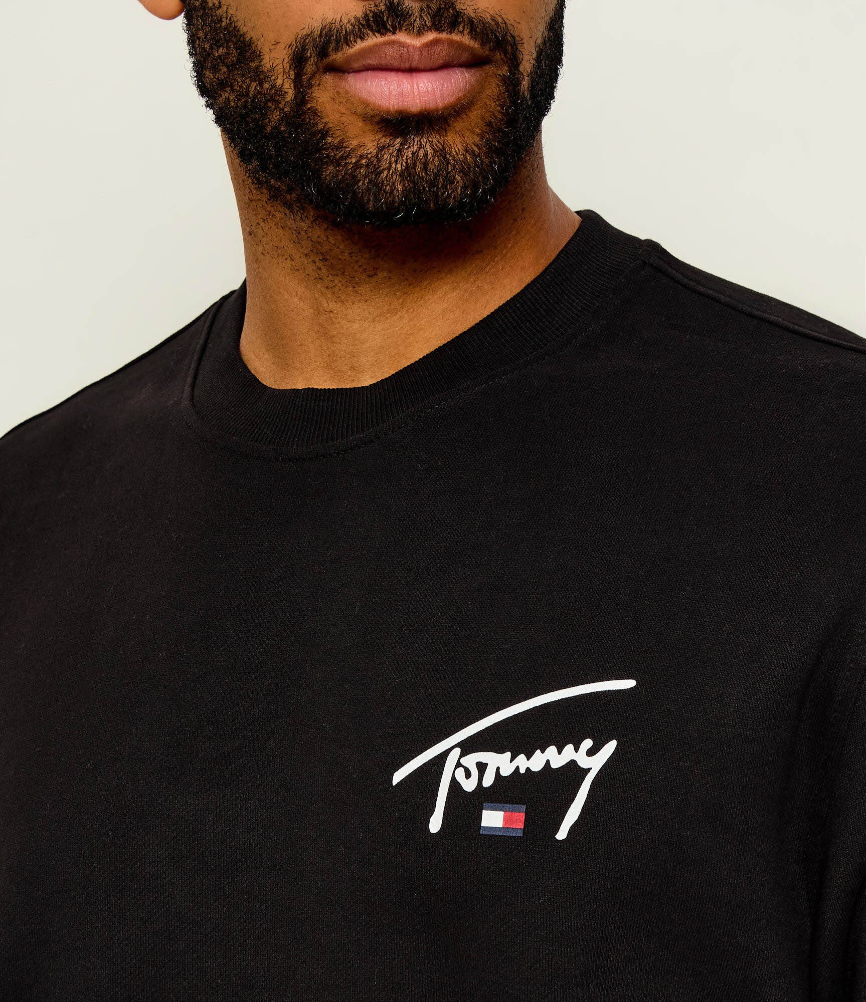 Tommy Jeans Hanorac Entry Signature | regular fit