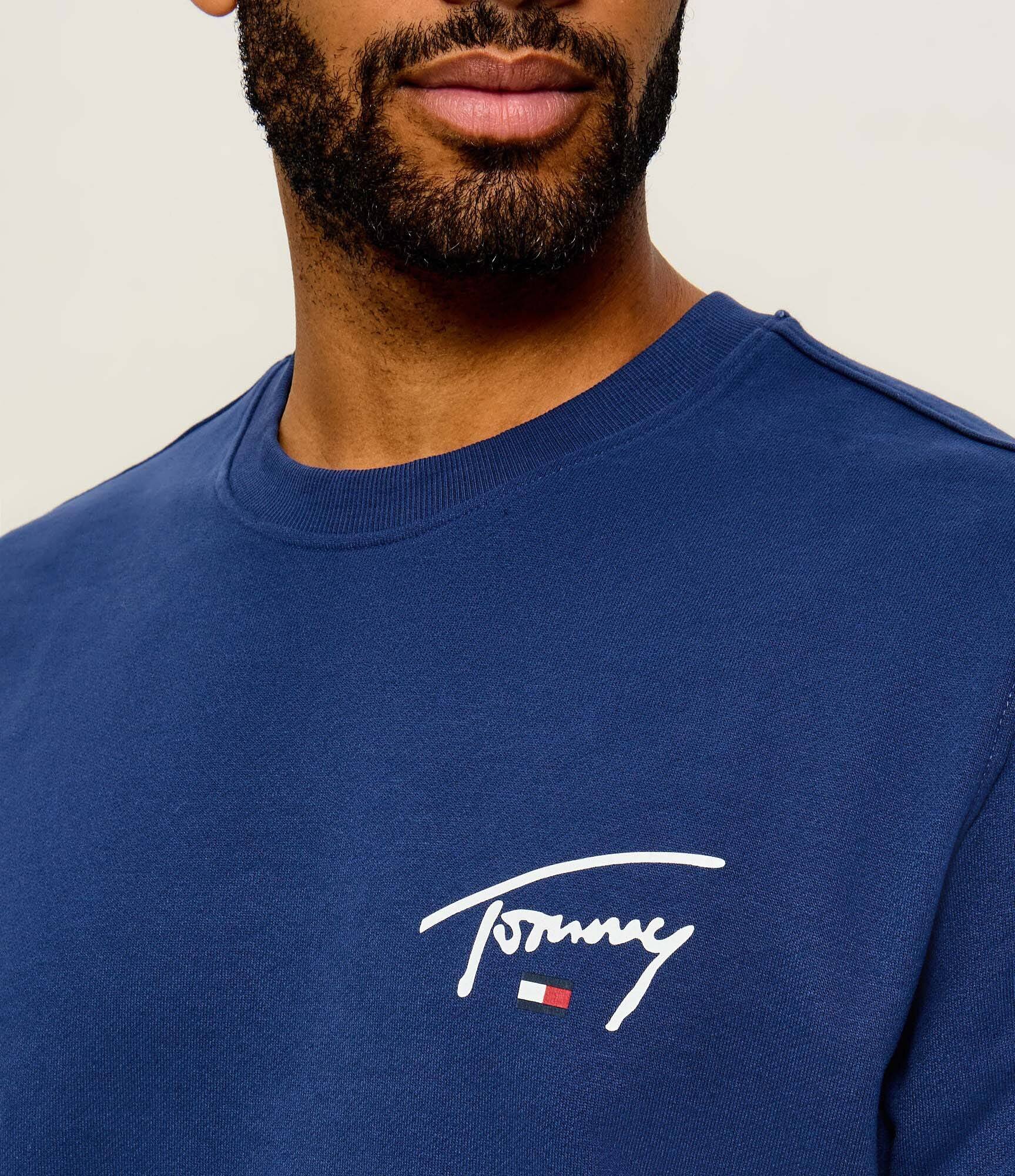 Tommy Jeans Hanorac Entry Signature | regular fit