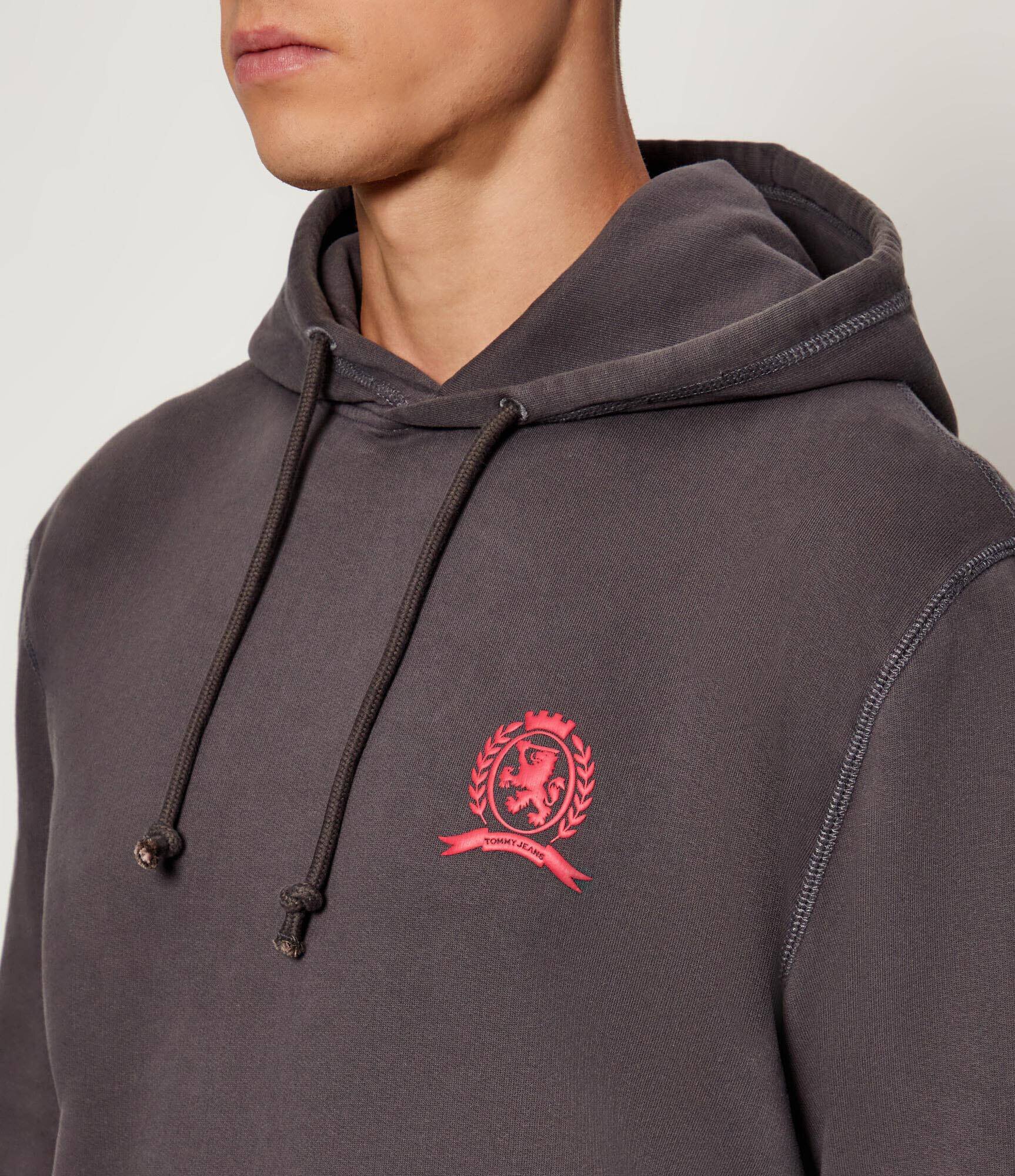 Tommy Jeans Hanorac | regular fit