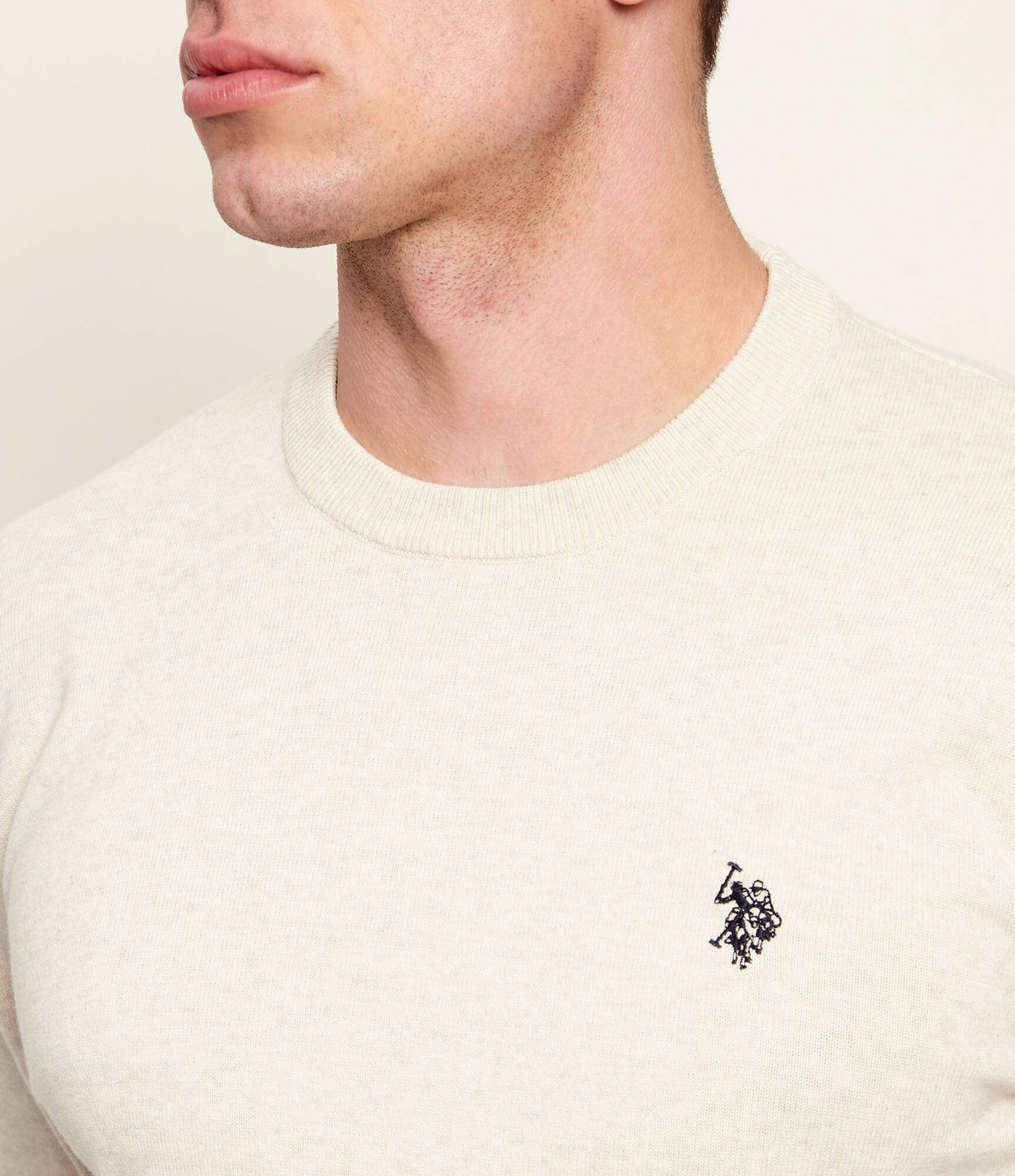 US Polo ASSN Pulover | regular fit